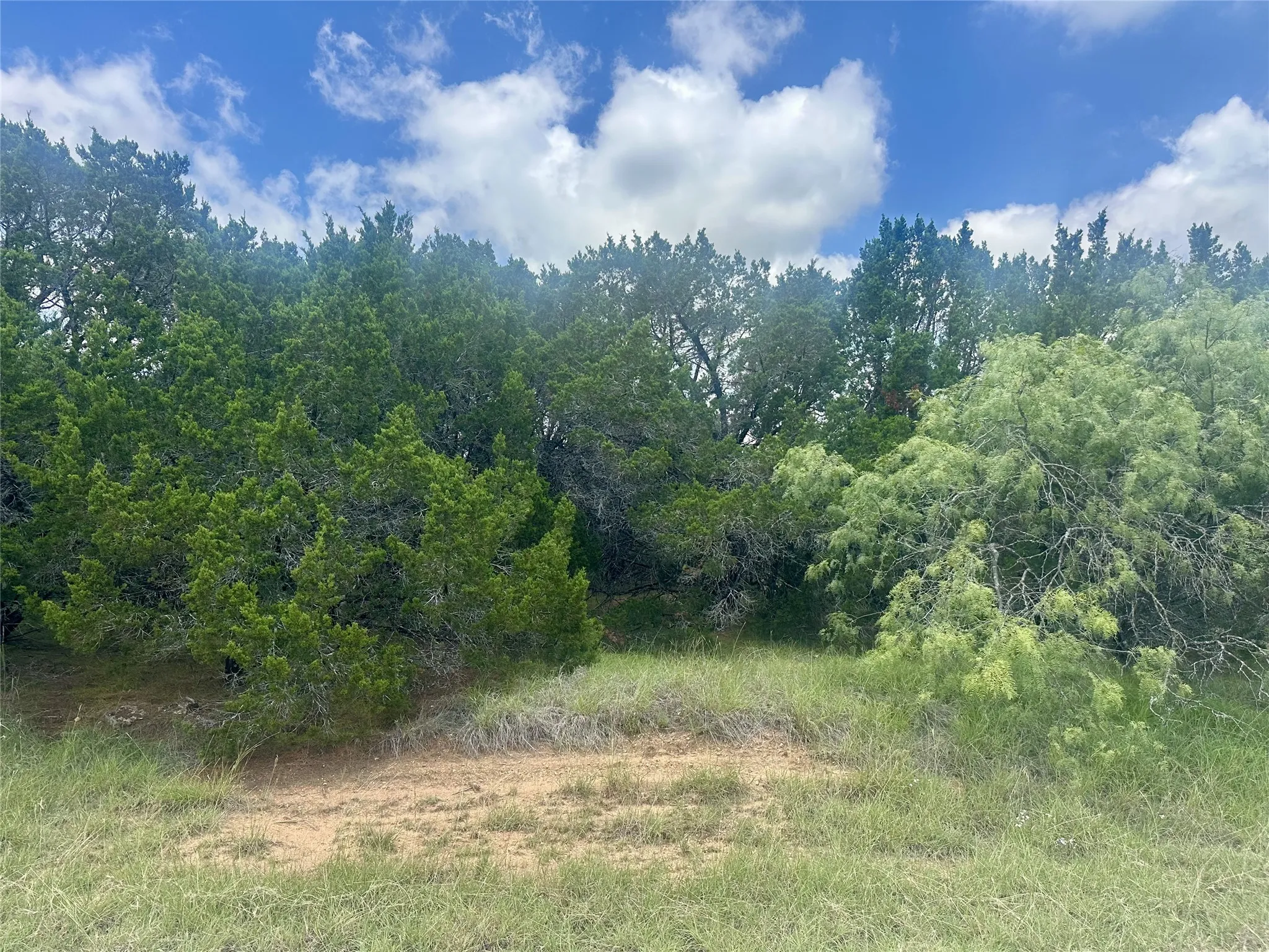 Unimproved Land For Sale in Hill County , 25058 Forrest Drive, Whitney, Texas 76692, 0, 0, Garage spaces, 0 Sqft, built in 0, Price $13,500, mls#21332469, Real Estate Agent in Whitney, Homes For Sale in Hill county, Homes For Sale in Whitney, Realtor in Whitney Texas, Real Estate Brokerage Independent Realty Texas, Luminita Cordes Realtor