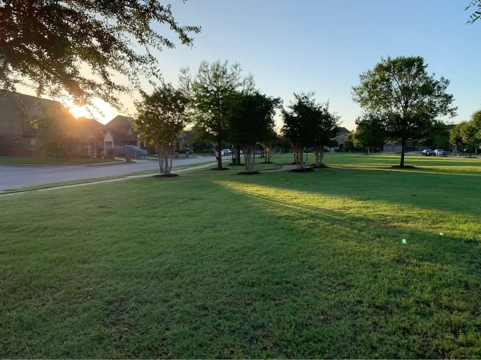 Single Family Residence For Rent in Dallas County , 2321 PETUNIA LN, Rowlett, Texas 75089, 3 Bedroom, 2 Bathroom, 2 Garage spaces, 2,081 Sqft, built in 2016, mls#21336196, Real Estate Agent in Rowlett, Homes For Rent in Dallas county, Homes For Rent in Rowlett, Realtor in Rowlett Texas, Real Estate Brokerage Independent Realty Texas, Luminita Cordes Realtor