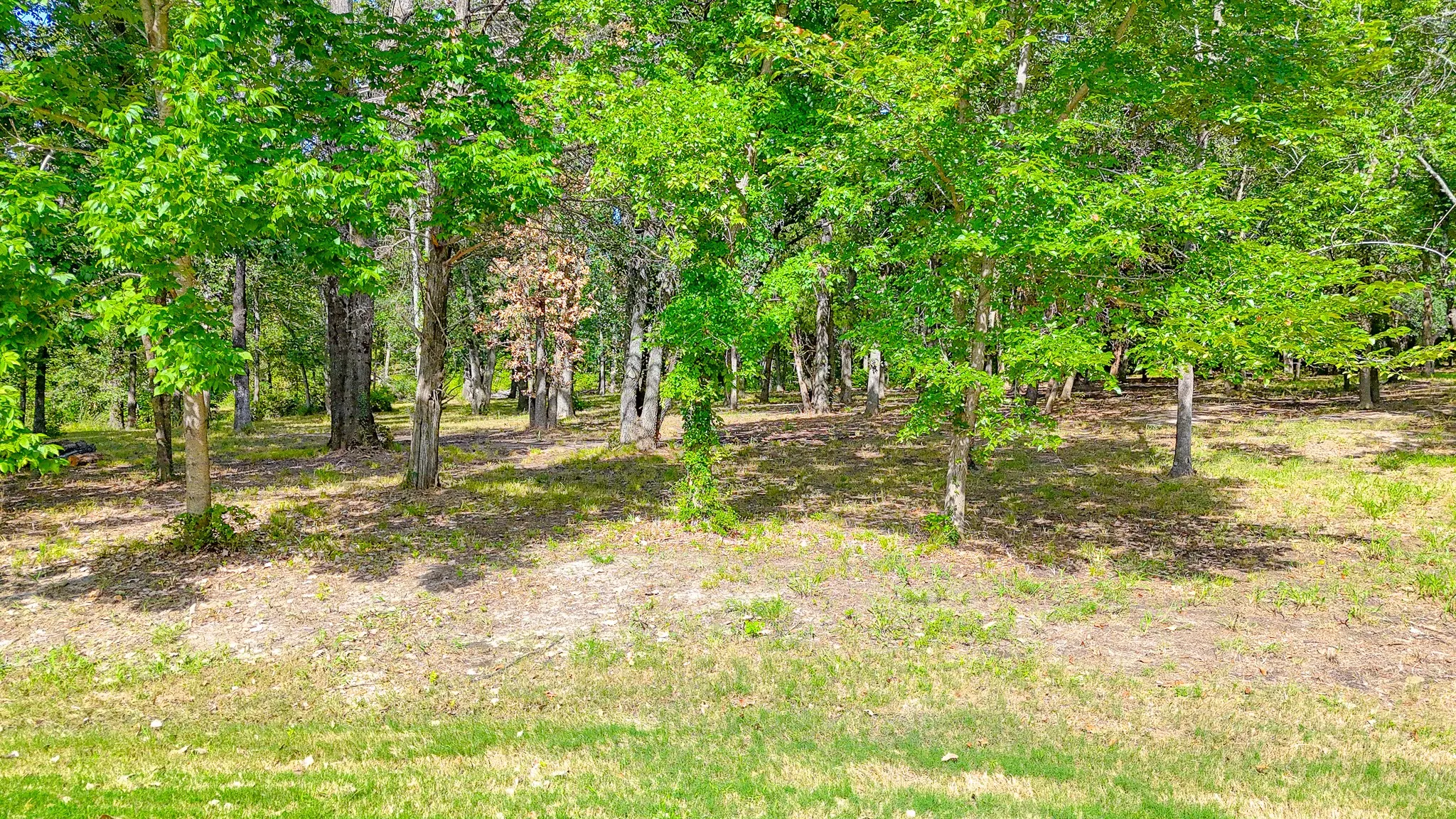 Unimproved Land For Sale in Navarro County , TBD Lot 618 Spur 294, Corsicana, Texas 75109, 0, 0, Garage spaces, 0 Sqft, built in 0, mls#21336069, Real Estate Agent in Corsicana, Homes For Sale in Navarro county, Homes For Sale in Corsicana, Realtor in Corsicana Texas, Real Estate Brokerage Independent Realty Texas, Luminita Cordes Realtor