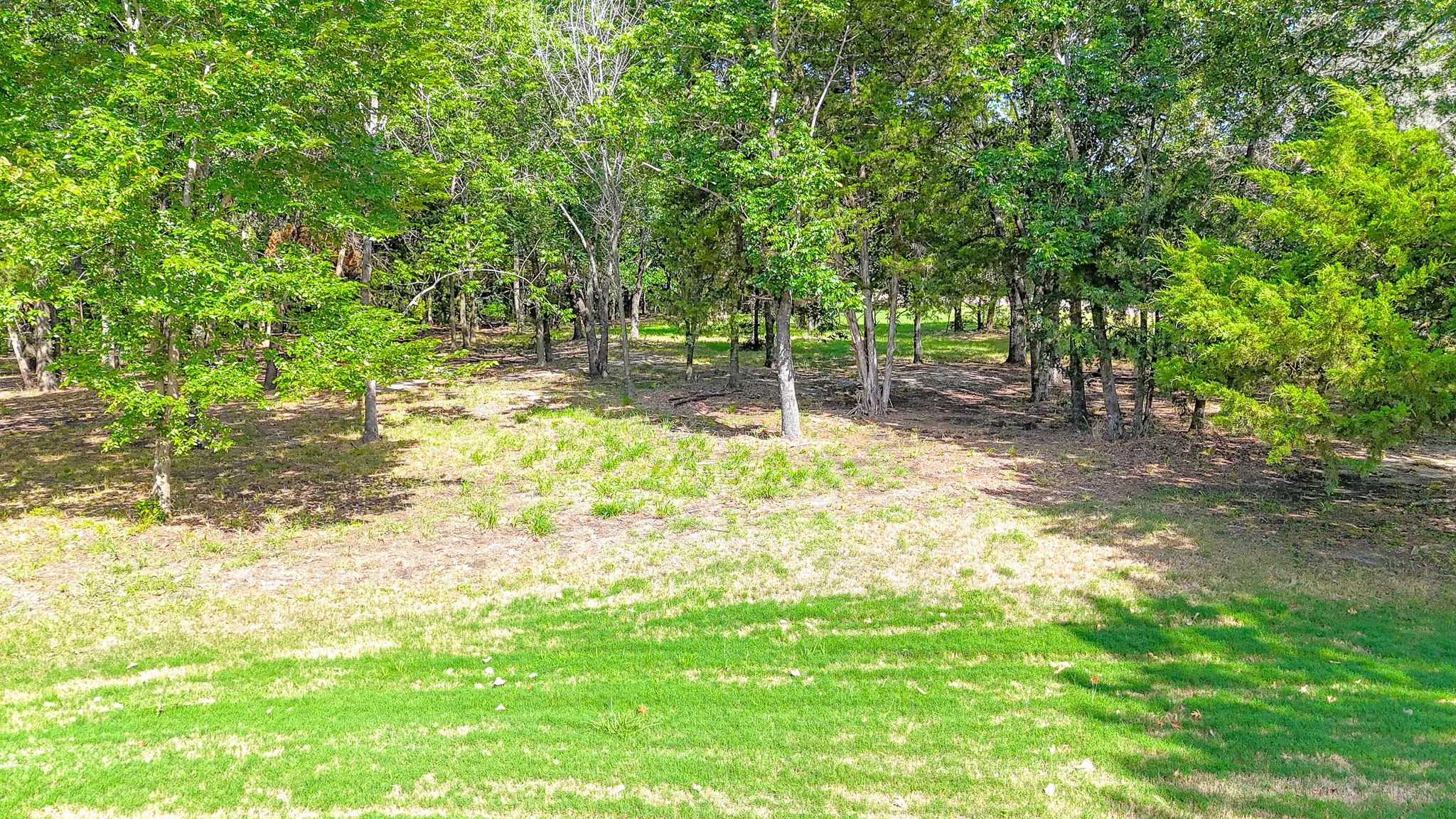 Unimproved Land For Sale in Navarro County , TBD Lot 333 Spur 294, Corsicana, Texas 75109, 0, 0, Garage spaces, 0 Sqft, built in 0, mls#21336046, Real Estate Agent in Corsicana, Homes For Sale in Navarro county, Homes For Sale in Corsicana, Realtor in Corsicana Texas, Real Estate Brokerage Independent Realty Texas, Luminita Cordes Realtor