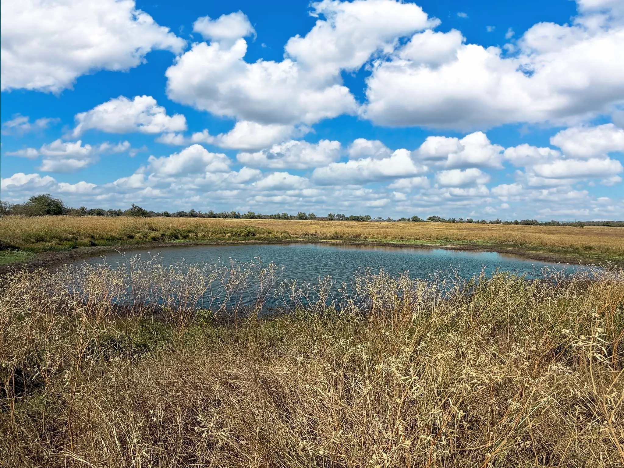 Unimproved Land For Sale in Falls County , TBD FM 2745, Kosse, Texas 76653, 0, 0, Garage spaces, 0 Sqft, built in 0, mls#21333154, Real Estate Agent in Kosse, Homes For Sale in Falls county, Homes For Sale in Kosse, Realtor in Kosse Texas, Real Estate Brokerage Independent Realty Texas, Luminita Cordes Realtor