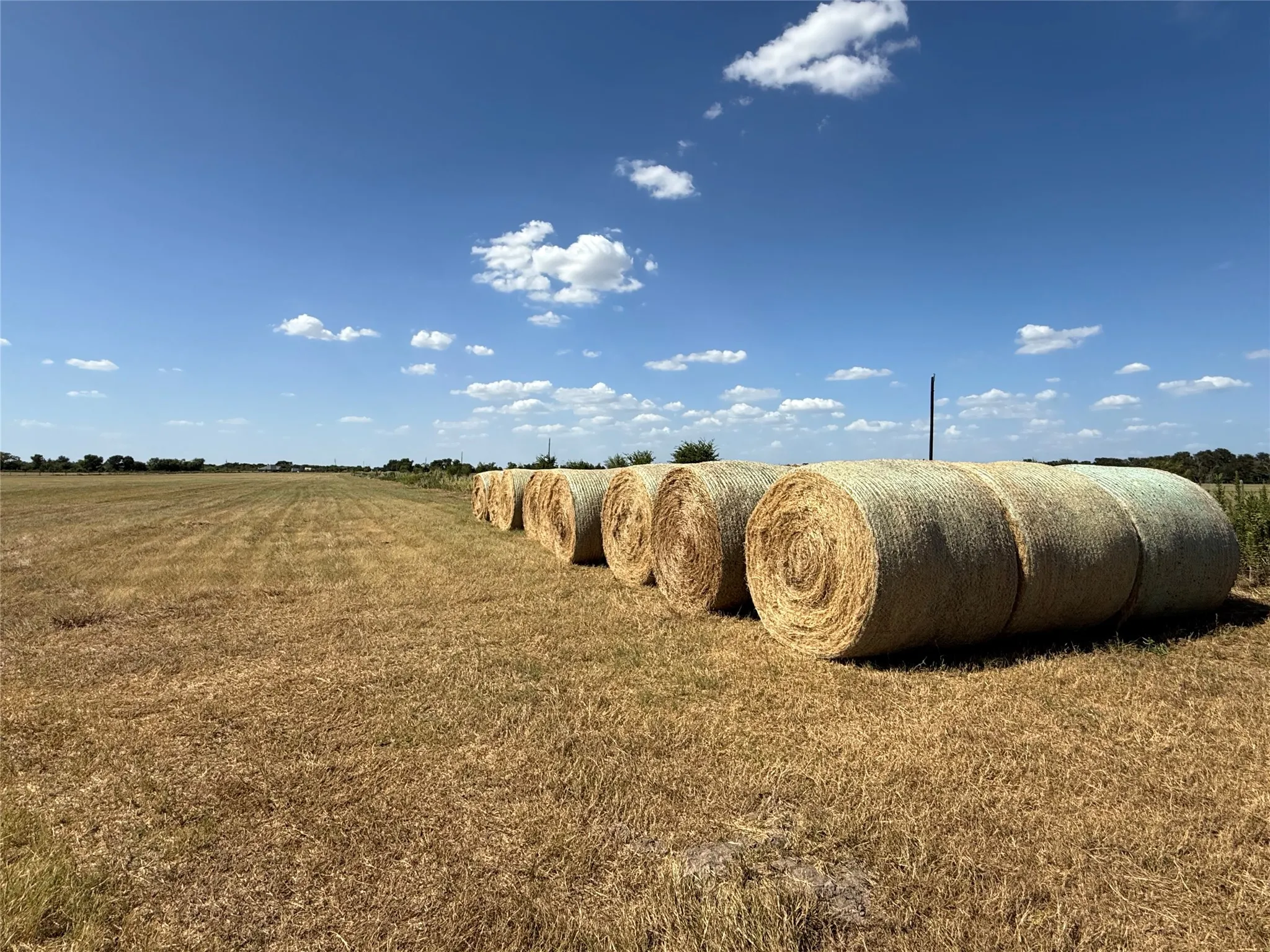 Unimproved Land For Sale in Falls County , 9999 FM 2745, Kosse, Texas 76653, 0, 0, Garage spaces, 0 Sqft, built in 0, mls#21336100, Real Estate Agent in Kosse, Homes For Sale in Falls county, Homes For Sale in Kosse, Realtor in Kosse Texas, Real Estate Brokerage Independent Realty Texas, Luminita Cordes Realtor