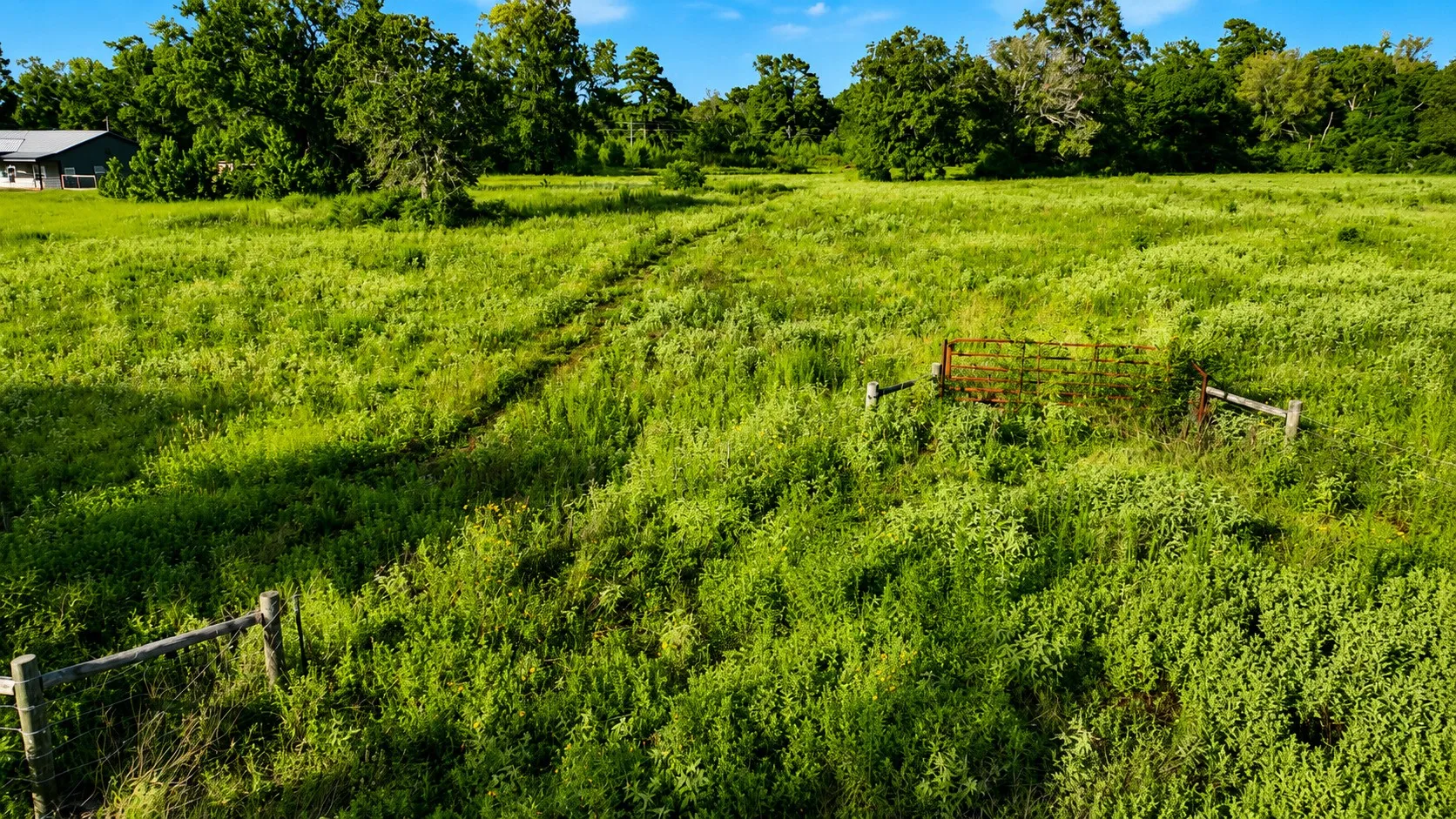 Unimproved Land For Sale in Leon County , TBD Cr 114, Centerville, Texas 75833, 0, 0, Garage spaces, 0 Sqft, built in 0, Price $129,900, mls#21336311, Real Estate Agent in Centerville, Homes For Sale in Leon county, Homes For Sale in Centerville, Realtor in Centerville Texas, Real Estate Brokerage Independent Realty Texas, Luminita Cordes Realtor