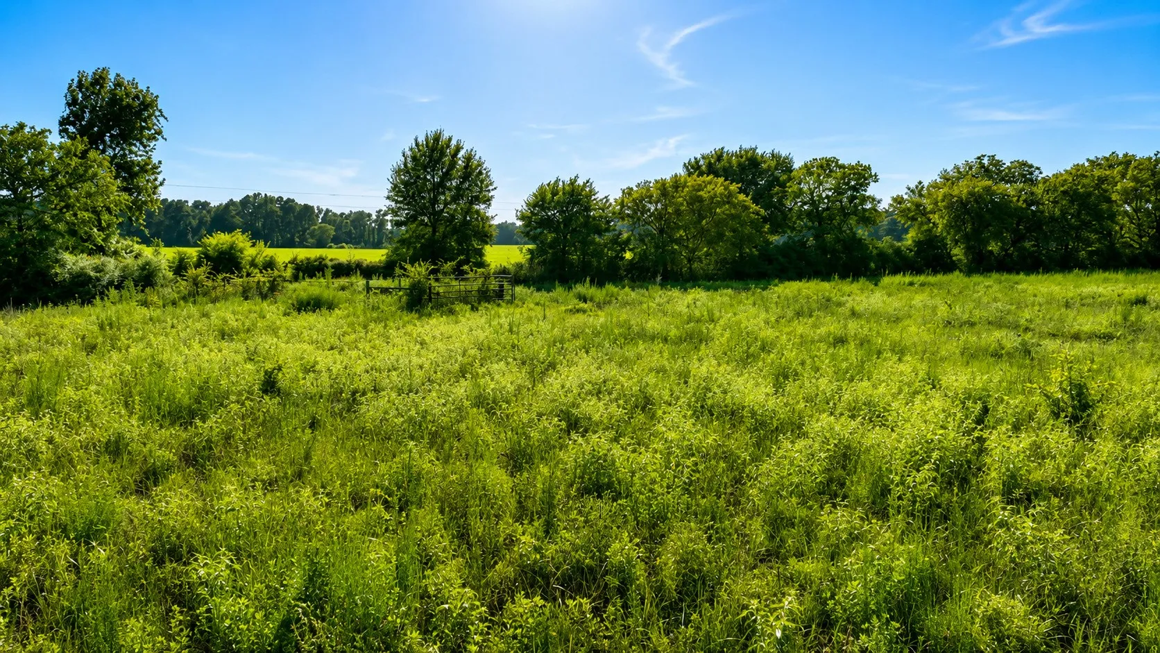 Unimproved Land For Sale in Leon County , TBD Cr 114, Centerville, Texas 75833, 0, 0, Garage spaces, 0 Sqft, built in 0, Price $129,900, mls#21336311, Real Estate Agent in Centerville, Homes For Sale in Leon county, Homes For Sale in Centerville, Realtor in Centerville Texas, Real Estate Brokerage Independent Realty Texas, Luminita Cordes Realtor