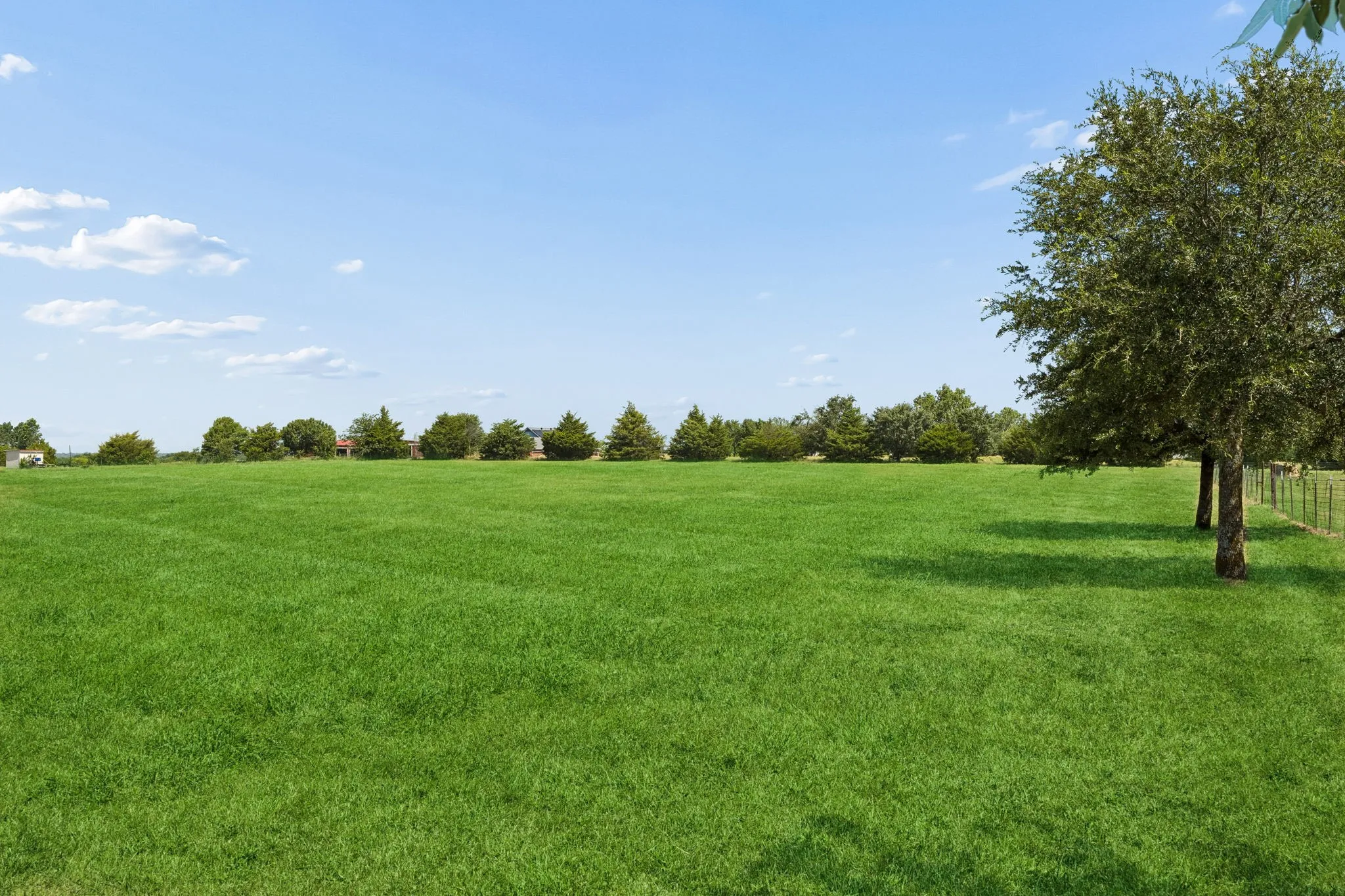 Unimproved Land For Sale in Collin County , 14221 County Road 545, Nevada, Texas 75173, 0, 0, Garage spaces, 0 Sqft, built in 0, mls#21336328, Real Estate Agent in Nevada, Homes For Sale in Collin county, Homes For Sale in Nevada, Realtor in Nevada Texas, Real Estate Brokerage Independent Realty Texas, Luminita Cordes Realtor
