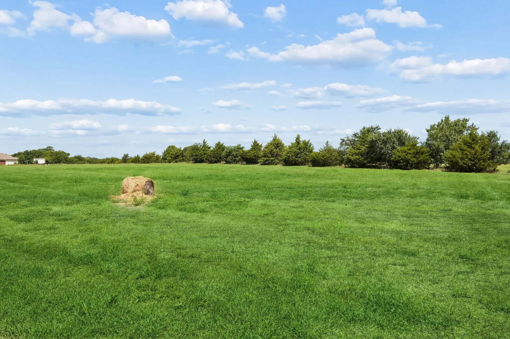 Unimproved Land For Sale in Collin County , 14221 County Road 545, Nevada, Texas 75173, 0, 0, Garage spaces, 0 Sqft, built in 0, mls#21336328, Real Estate Agent in Nevada, Homes For Sale in Collin county, Homes For Sale in Nevada, Realtor in Nevada Texas, Real Estate Brokerage Independent Realty Texas, Luminita Cordes Realtor