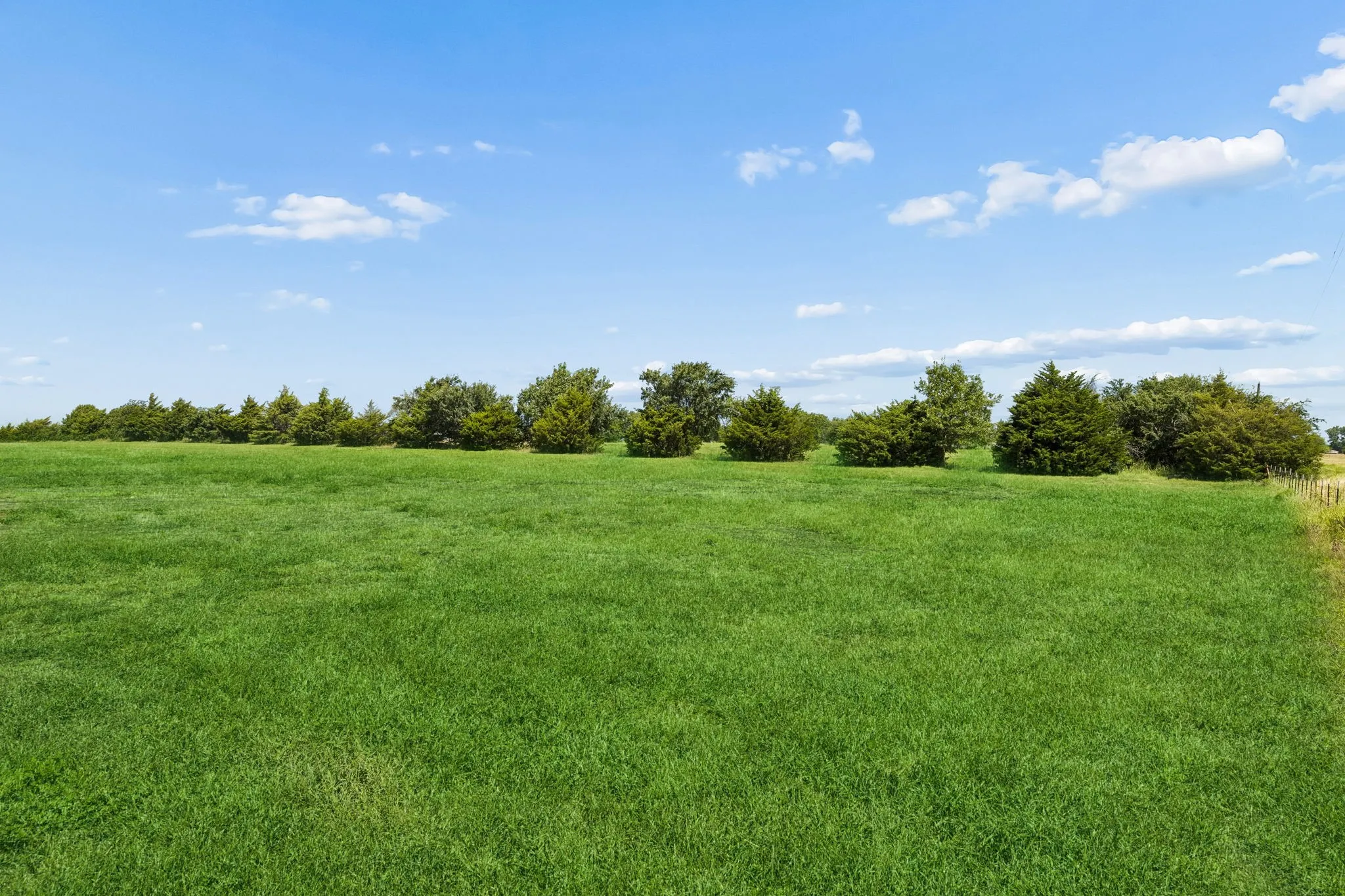 Unimproved Land For Sale in Collin County , 14221 County Road 545, Nevada, Texas 75173, 0, 0, Garage spaces, 0 Sqft, built in 0, mls#21336328, Real Estate Agent in Nevada, Homes For Sale in Collin county, Homes For Sale in Nevada, Realtor in Nevada Texas, Real Estate Brokerage Independent Realty Texas, Luminita Cordes Realtor