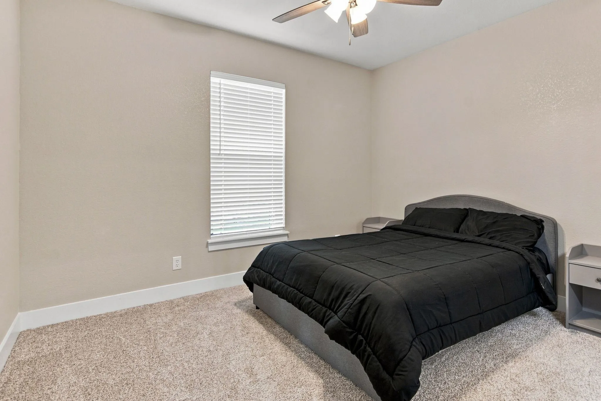 Carpeted room with a ceiling fan light fixture