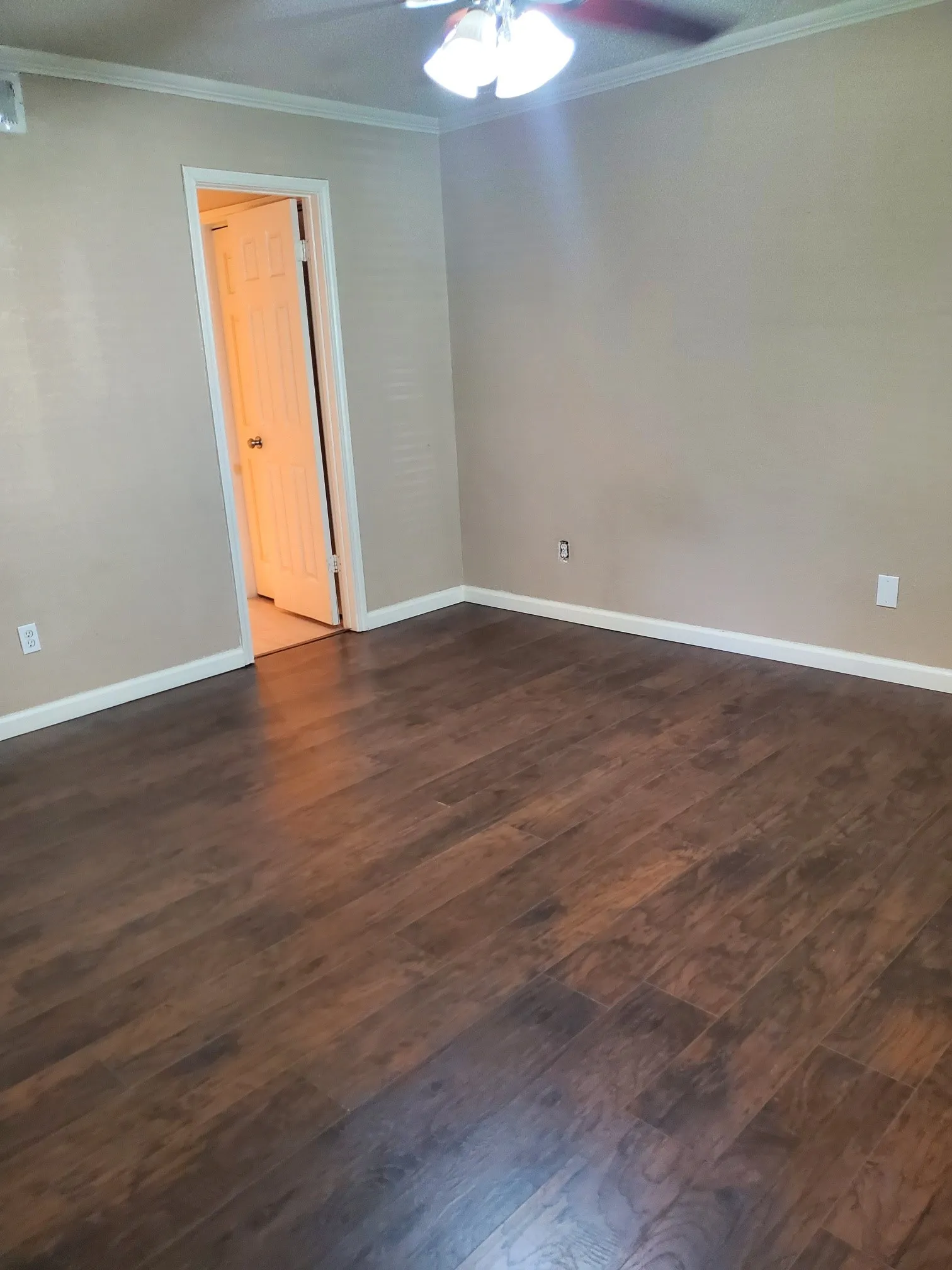 Expansive room featuring rich wood-finish flooring, neutral wall tones, white trim, and a ceiling fan with integrated lighting