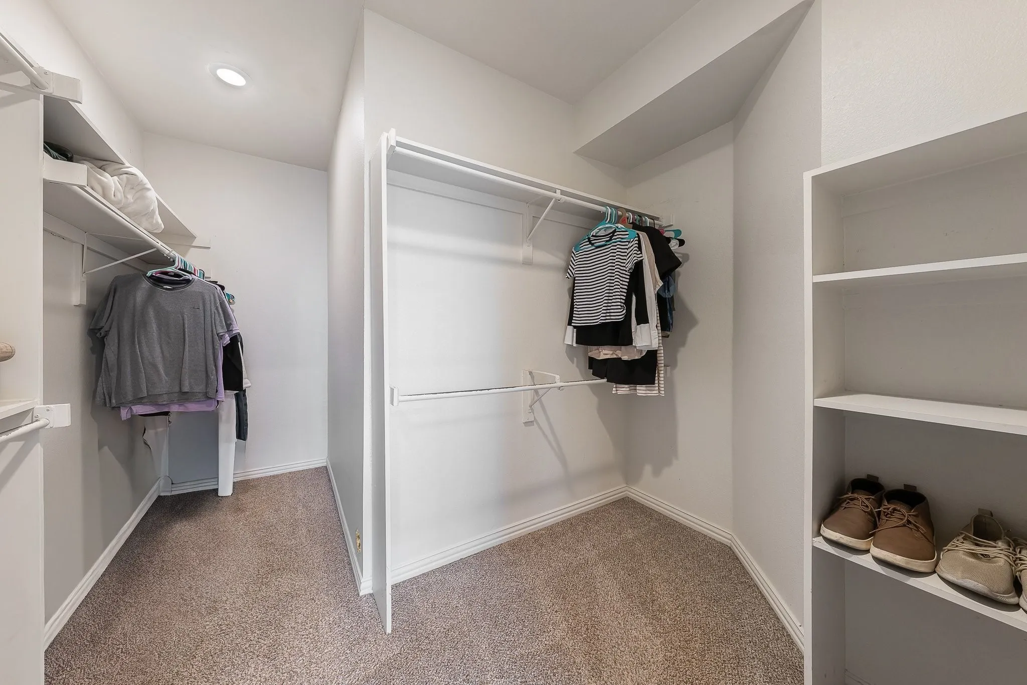 Walk-in closet with carpet flooring, recessed lighting, and white shelving