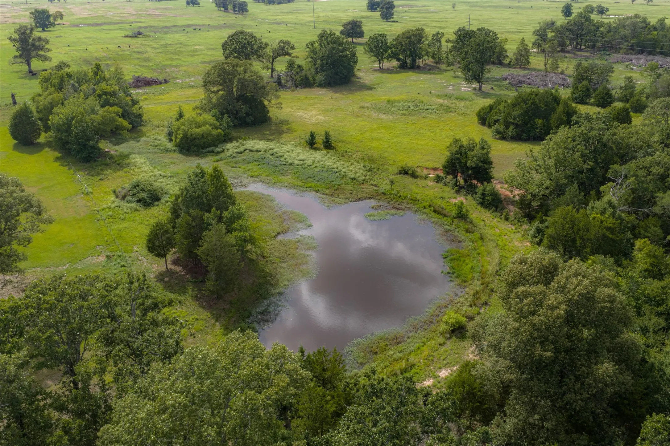 Farm For Sale in Henderson County , 13053 County Road 3806 3805, Murchison, Texas 75778, 6 Bedrooms, 5 Bathrooms, 3 Garage spaces, 3,482 Sqft, built in 1984, Price $2,325,000, mls#21336528, Real Estate Agent in Murchison, Homes For Sale in Henderson county, Homes For Sale in Murchison, Realtor in Murchison Texas, Real Estate Brokerage Independent Realty Texas, Luminita Cordes Realtor