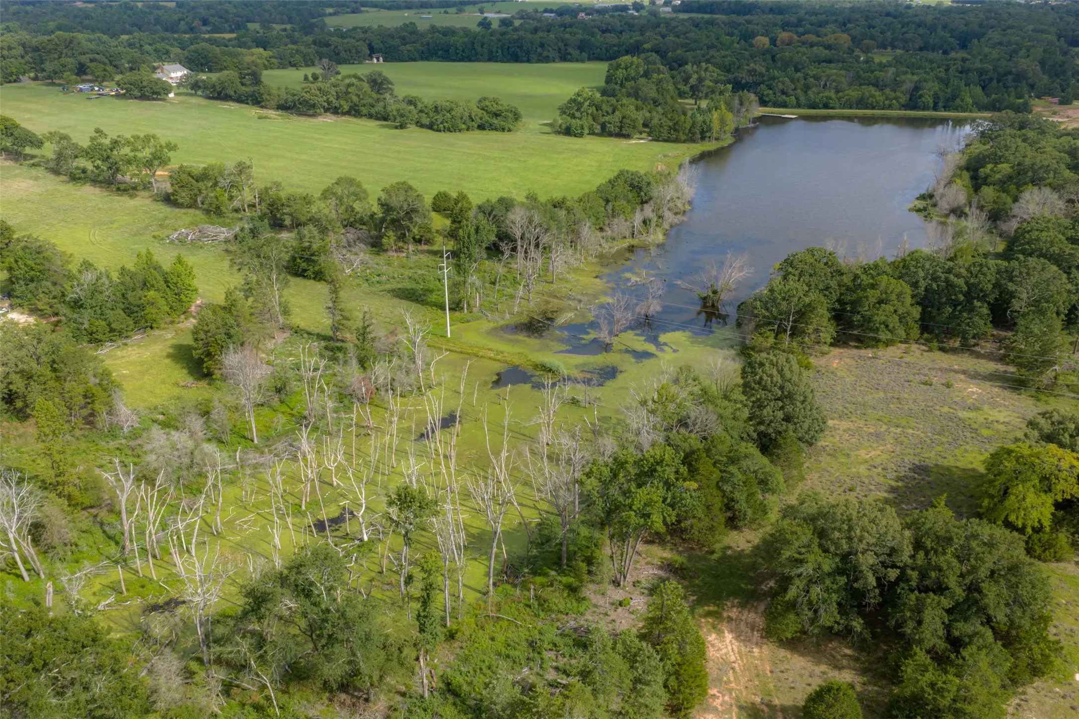 Farm For Sale in Henderson County , 13053 County Road 3806 3805, Murchison, Texas 75778, 6 Bedrooms, 5 Bathrooms, 3 Garage spaces, 3,482 Sqft, built in 1984, Price $2,325,000, mls#21336528, Real Estate Agent in Murchison, Homes For Sale in Henderson county, Homes For Sale in Murchison, Realtor in Murchison Texas, Real Estate Brokerage Independent Realty Texas, Luminita Cordes Realtor