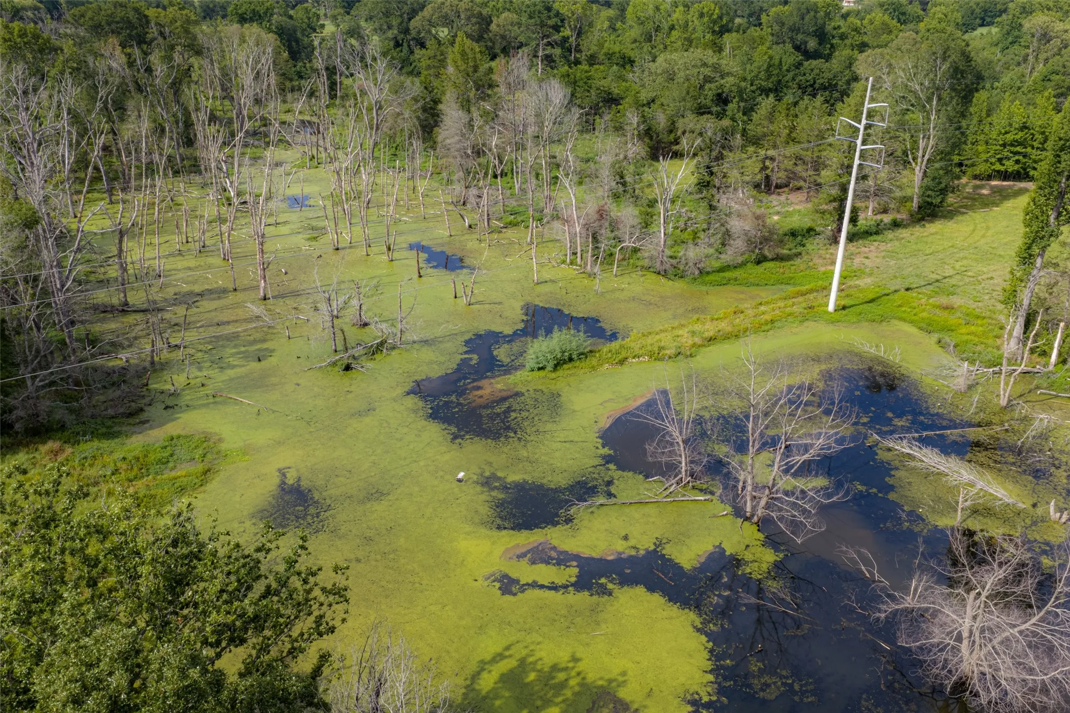 Farm For Sale in Henderson County , 13053 County Road 3806 3805, Murchison, Texas 75778, 6 Bedrooms, 5 Bathrooms, 3 Garage spaces, 3,482 Sqft, built in 1984, Price $2,325,000, mls#21336528, Real Estate Agent in Murchison, Homes For Sale in Henderson county, Homes For Sale in Murchison, Realtor in Murchison Texas, Real Estate Brokerage Independent Realty Texas, Luminita Cordes Realtor