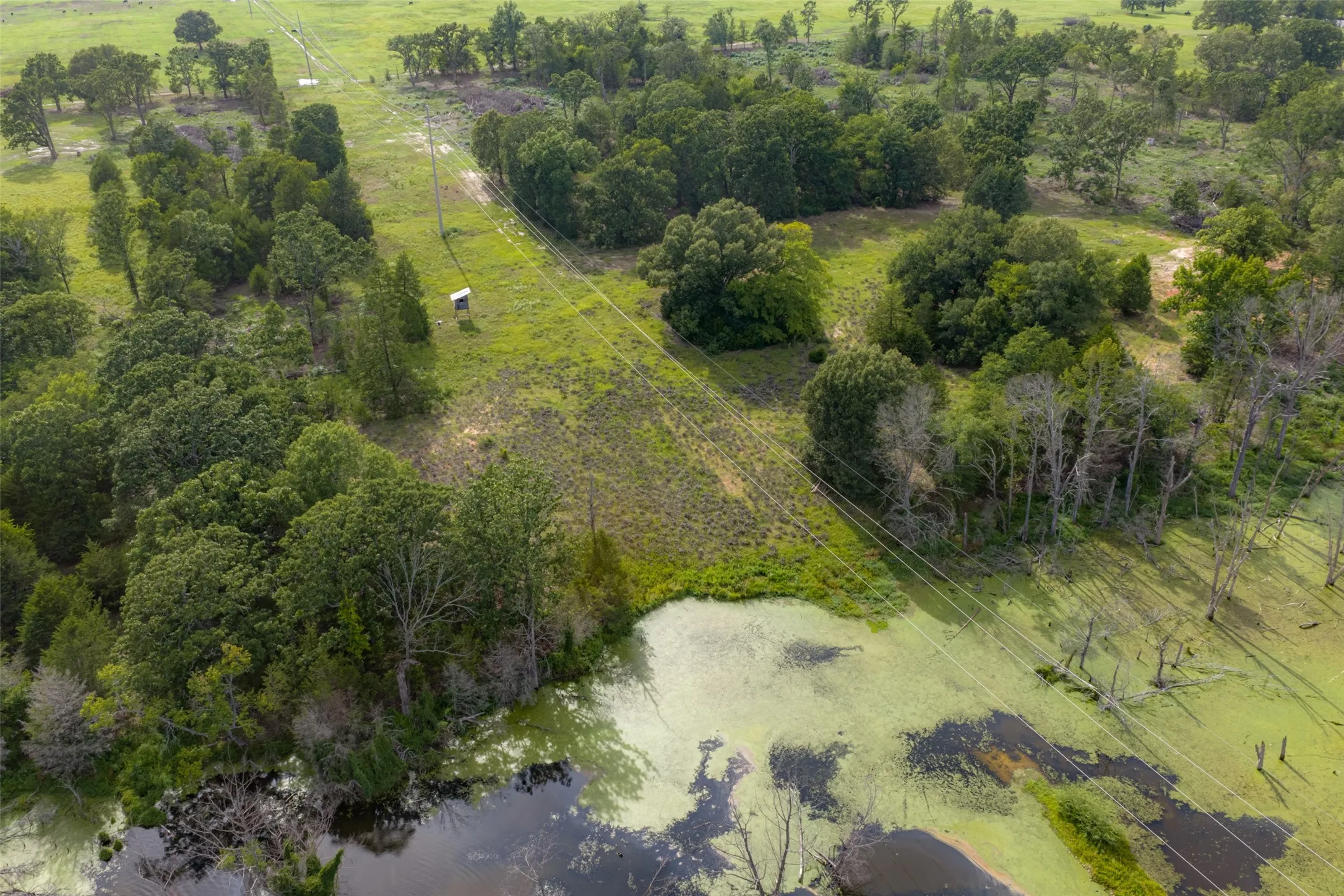 Farm For Sale in Henderson County , 13053 County Road 3806 3805, Murchison, Texas 75778, 6 Bedrooms, 5 Bathrooms, 3 Garage spaces, 3,482 Sqft, built in 1984, Price $2,325,000, mls#21336528, Real Estate Agent in Murchison, Homes For Sale in Henderson county, Homes For Sale in Murchison, Realtor in Murchison Texas, Real Estate Brokerage Independent Realty Texas, Luminita Cordes Realtor