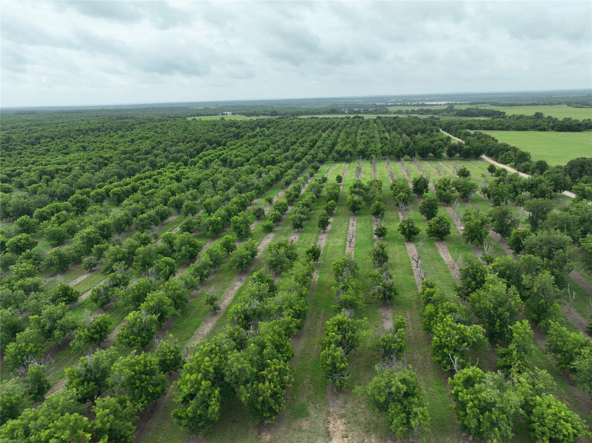 Improved Land For Sale in Comanche County , TBD CR 424, Comanche, Texas 76442, 0, 0, Garage spaces, 0 Sqft, built in 0, Price $995,000, mls#21336387, Real Estate Agent in Comanche, Homes For Sale in Comanche county, Homes For Sale in Comanche, Realtor in Comanche Texas, Real Estate Brokerage Independent Realty Texas, Luminita Cordes Realtor