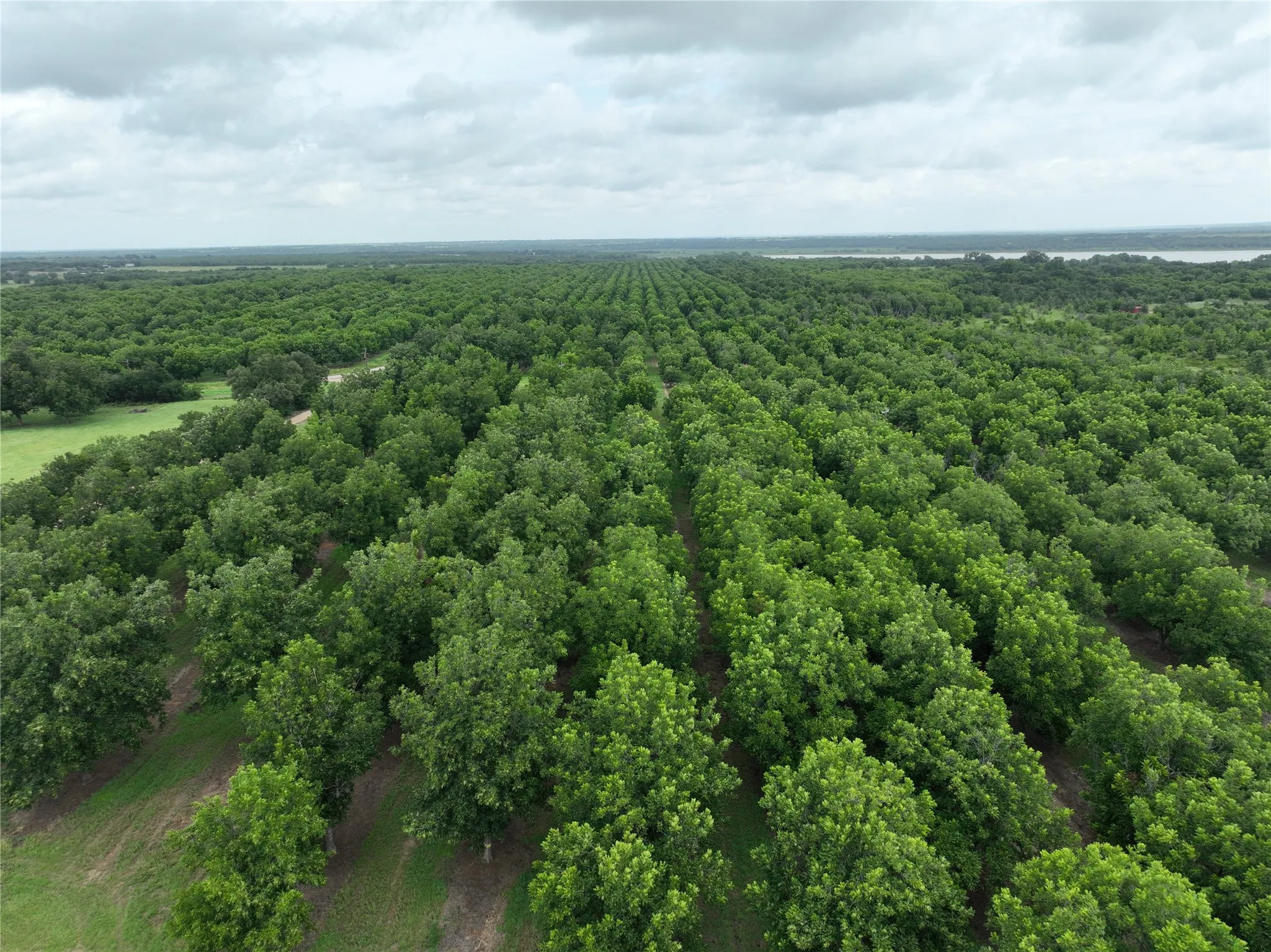 Improved Land For Sale in Comanche County , TBD CR 424, Comanche, Texas 76442, 0, 0, Garage spaces, 0 Sqft, built in 0, Price $995,000, mls#21336387, Real Estate Agent in Comanche, Homes For Sale in Comanche county, Homes For Sale in Comanche, Realtor in Comanche Texas, Real Estate Brokerage Independent Realty Texas, Luminita Cordes Realtor