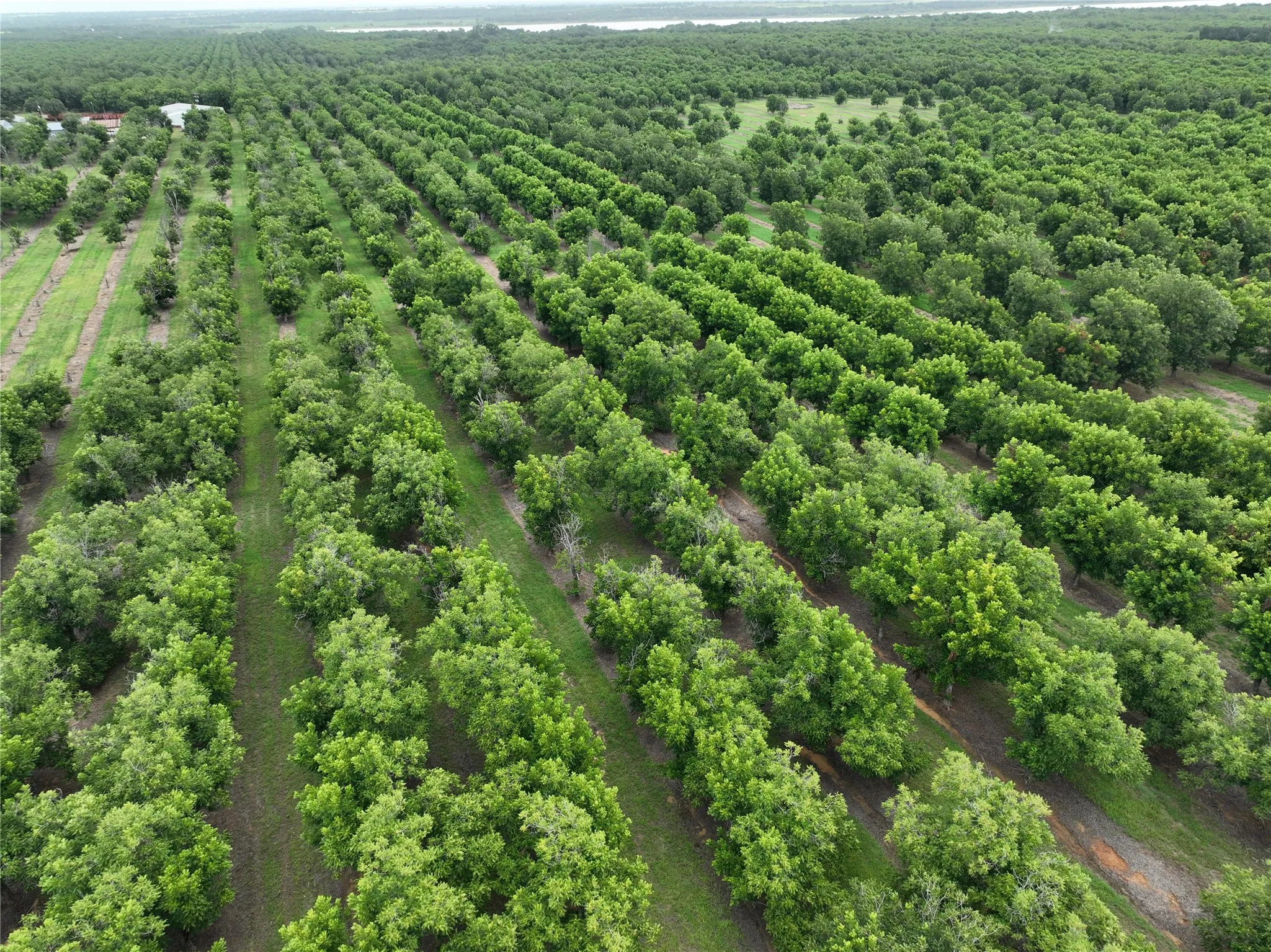 Improved Land For Sale in Comanche County , TBD CR 424, Comanche, Texas 76442, 0, 0, Garage spaces, 0 Sqft, built in 0, Price $995,000, mls#21336387, Real Estate Agent in Comanche, Homes For Sale in Comanche county, Homes For Sale in Comanche, Realtor in Comanche Texas, Real Estate Brokerage Independent Realty Texas, Luminita Cordes Realtor