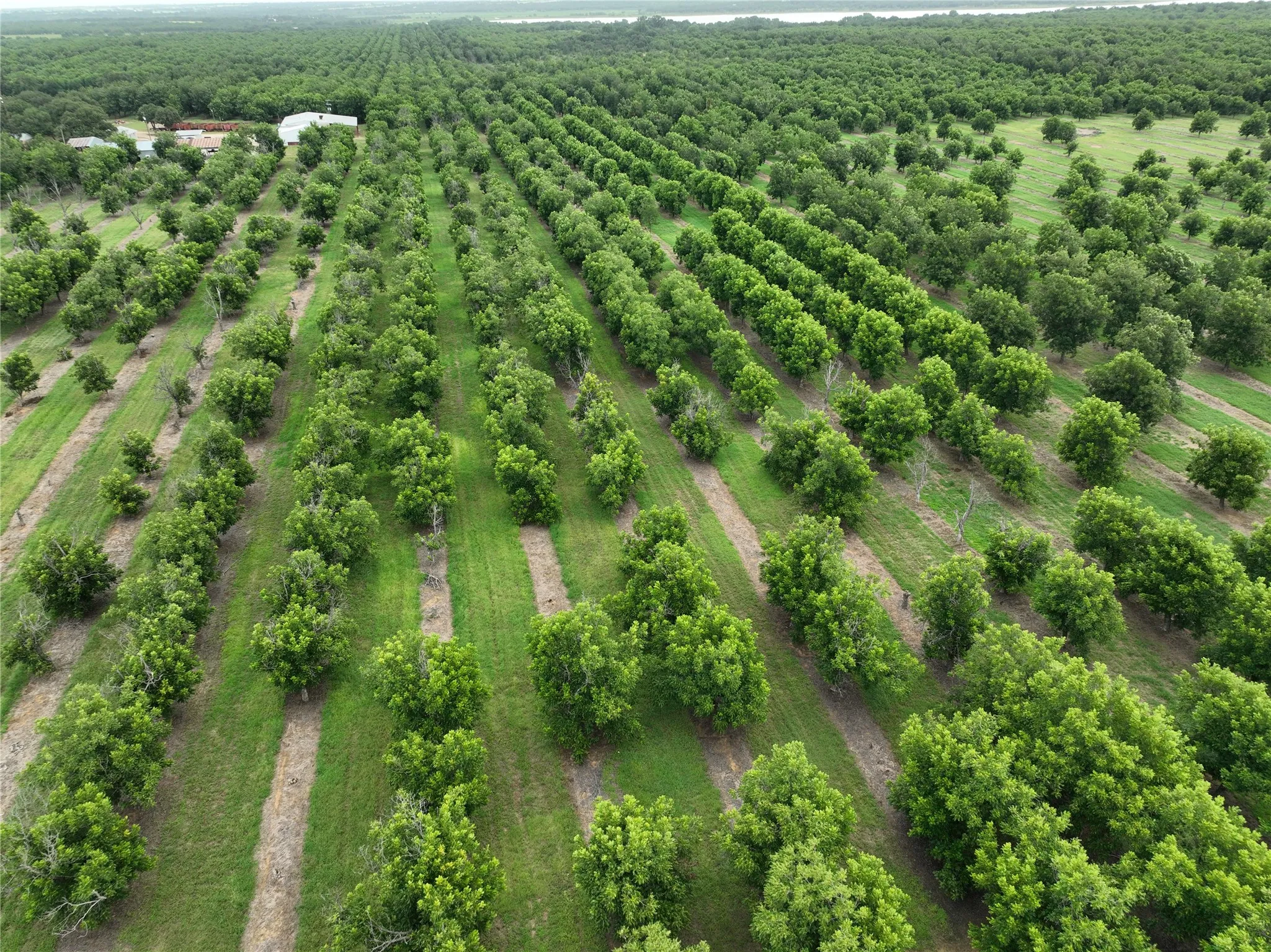 Improved Land For Sale in Comanche County , TBD CR 424, Comanche, Texas 76442, 0, 0, Garage spaces, 0 Sqft, built in 0, Price $995,000, mls#21336387, Real Estate Agent in Comanche, Homes For Sale in Comanche county, Homes For Sale in Comanche, Realtor in Comanche Texas, Real Estate Brokerage Independent Realty Texas, Luminita Cordes Realtor