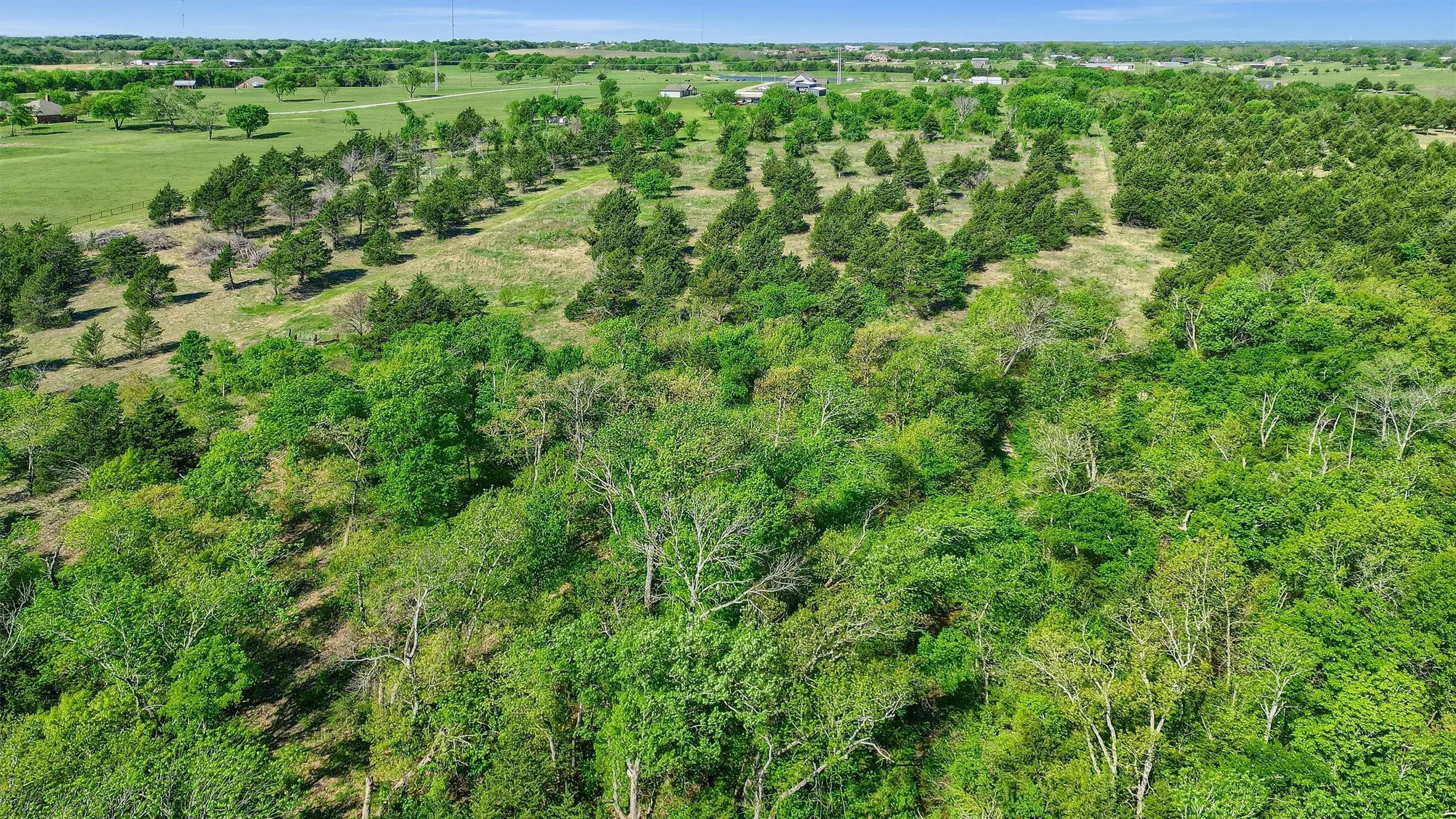 Unimproved Land For Sale in Grayson County , 2554 Bennett Road, Howe, Texas 75459, 0, 0, Garage spaces, 0 Sqft, built in 0, Price $595,000, mls#21336566, Real Estate Agent in Howe, Homes For Sale in Grayson county, Homes For Sale in Howe, Realtor in Howe Texas, Real Estate Brokerage Independent Realty Texas, Luminita Cordes Realtor