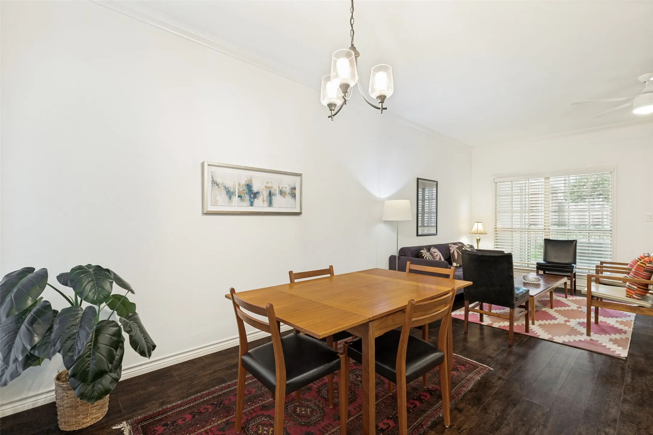 Light filled dining and living area