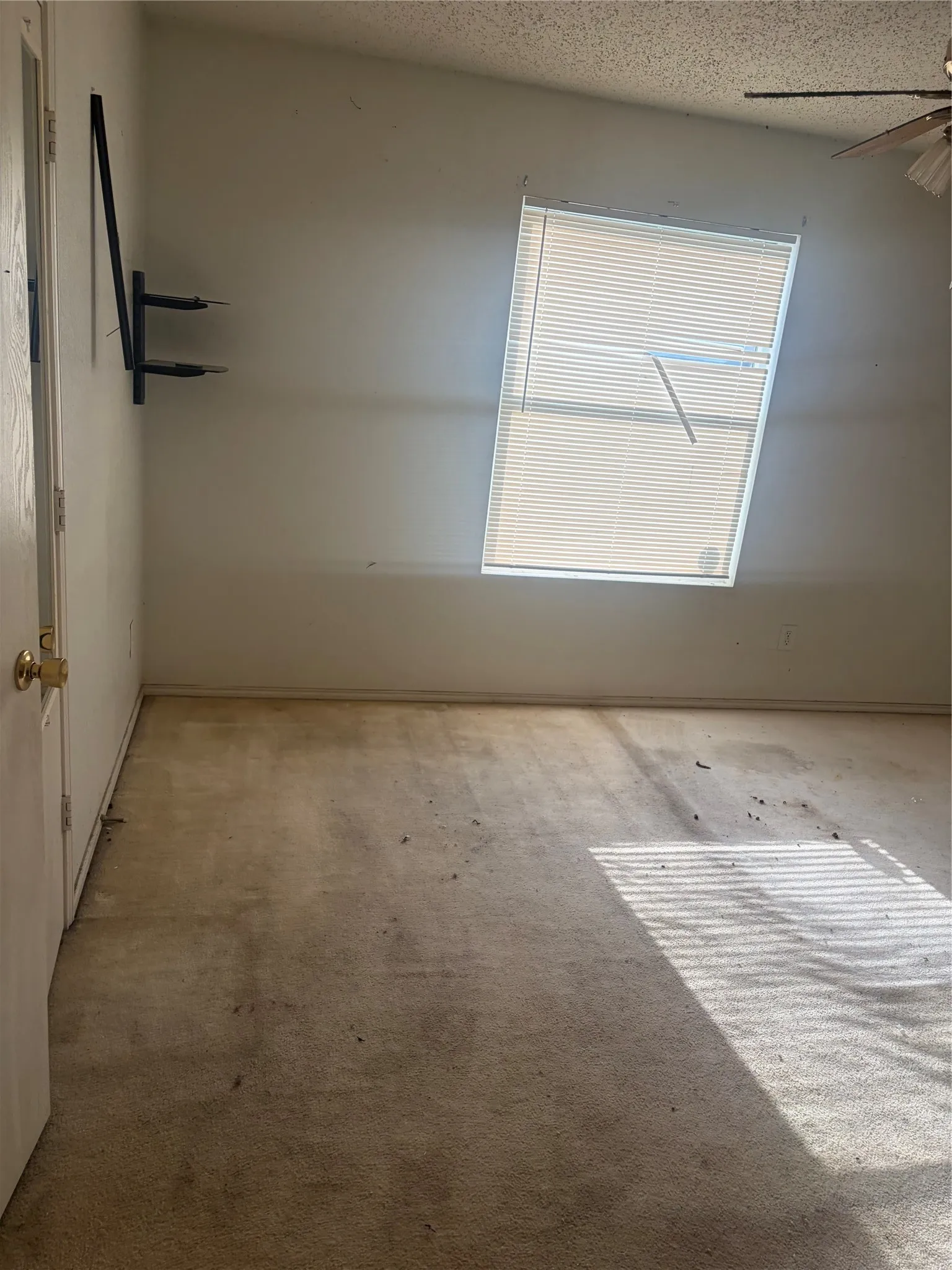 Guest Bedroom located​​‌​​​​‌​​‌‌​‌‌​​​‌‌​‌​‌​‌​​​‌​​ downstairs.