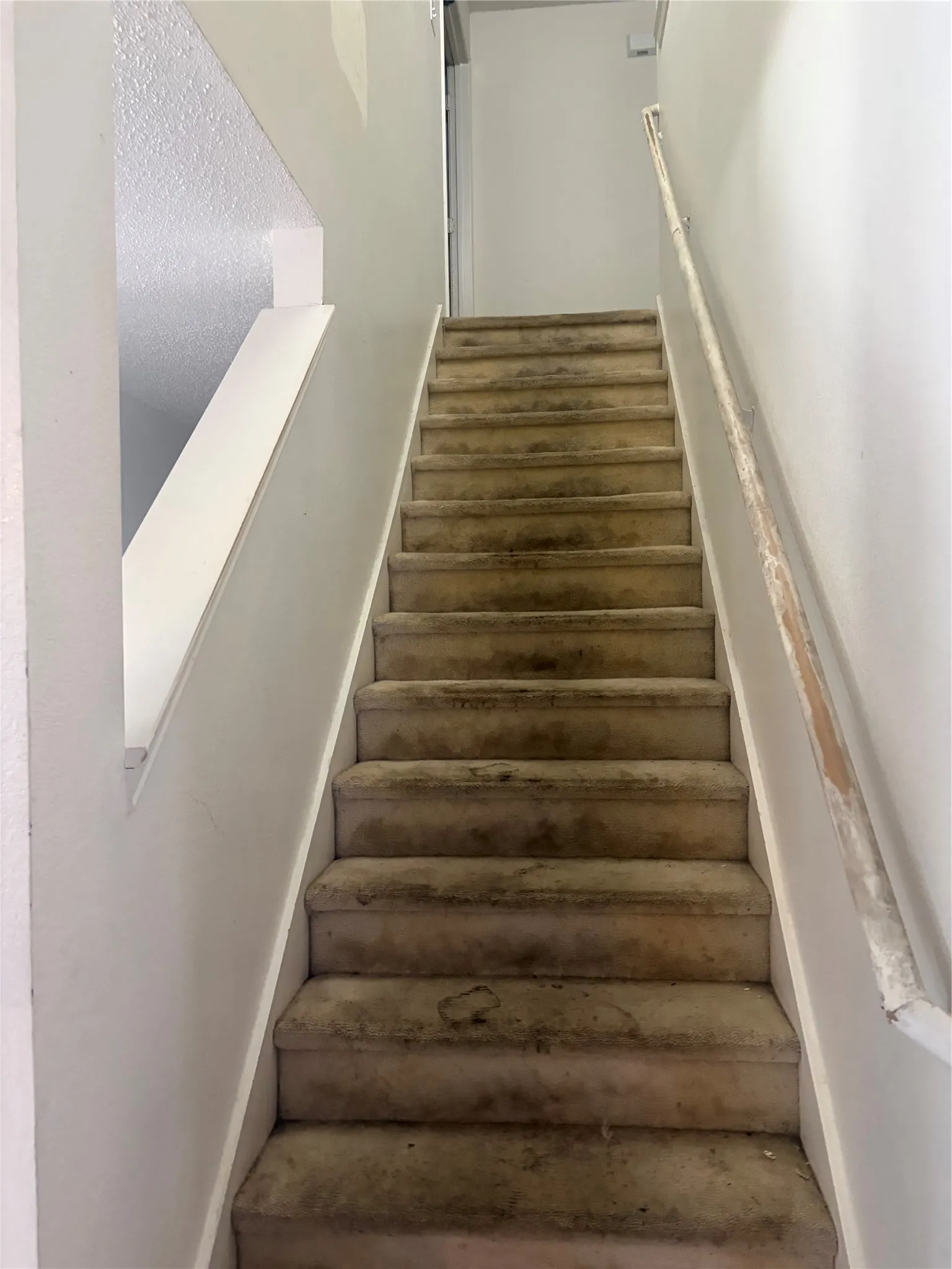 Single Family Residence For Sale in Dallas County , 1229 Longleaf Drive, Cedar Hill, Texas 75104, 5 Bedroom, 3 Bathroom, 2 Garage spaces, 3,648 Sqft, built in 2002, mls#21336575, Real Estate Agent in Cedar Hill, Homes For Sale in Dallas county, Homes For Sale in Cedar Hill, Realtor in Cedar Hill Texas, Real Estate Brokerage Independent Realty Texas, Luminita Cordes Realtor