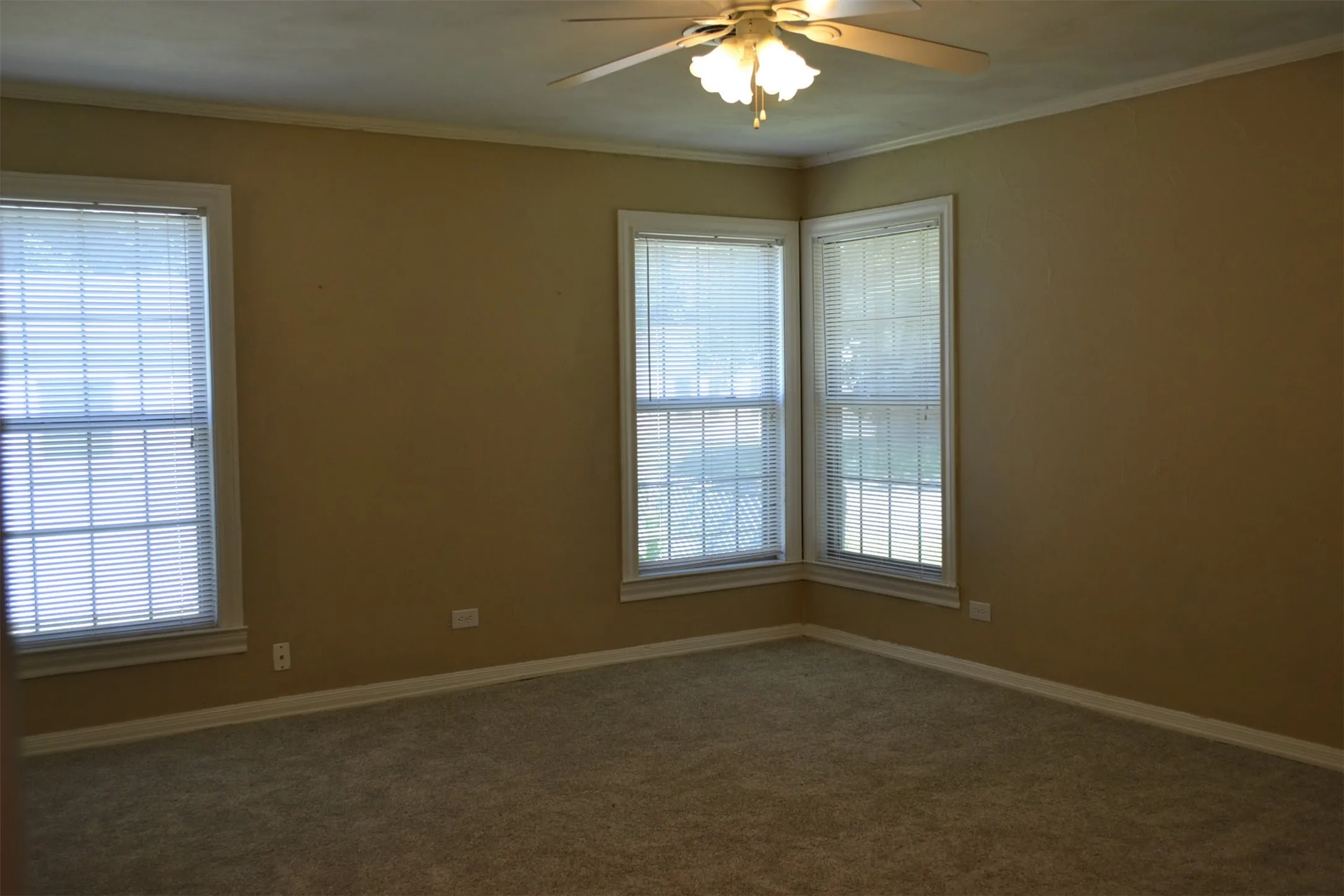 Carpeted room featuring a ceiling fan with light fixture, neutral wall finishes, white trim, and multiple windows with blinds