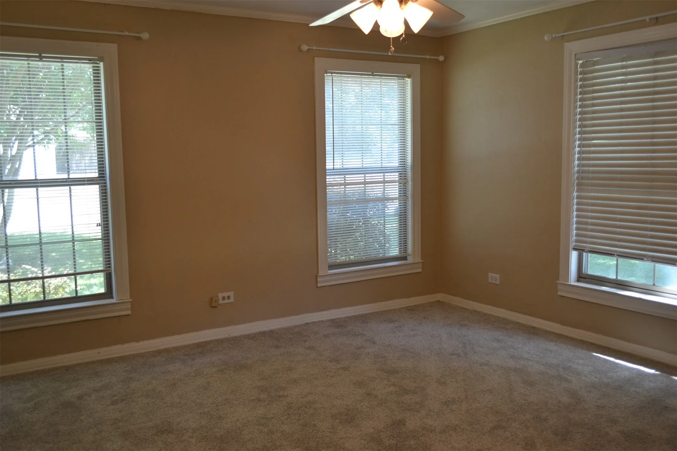 Neutral-toned walls complement the gray carpeting