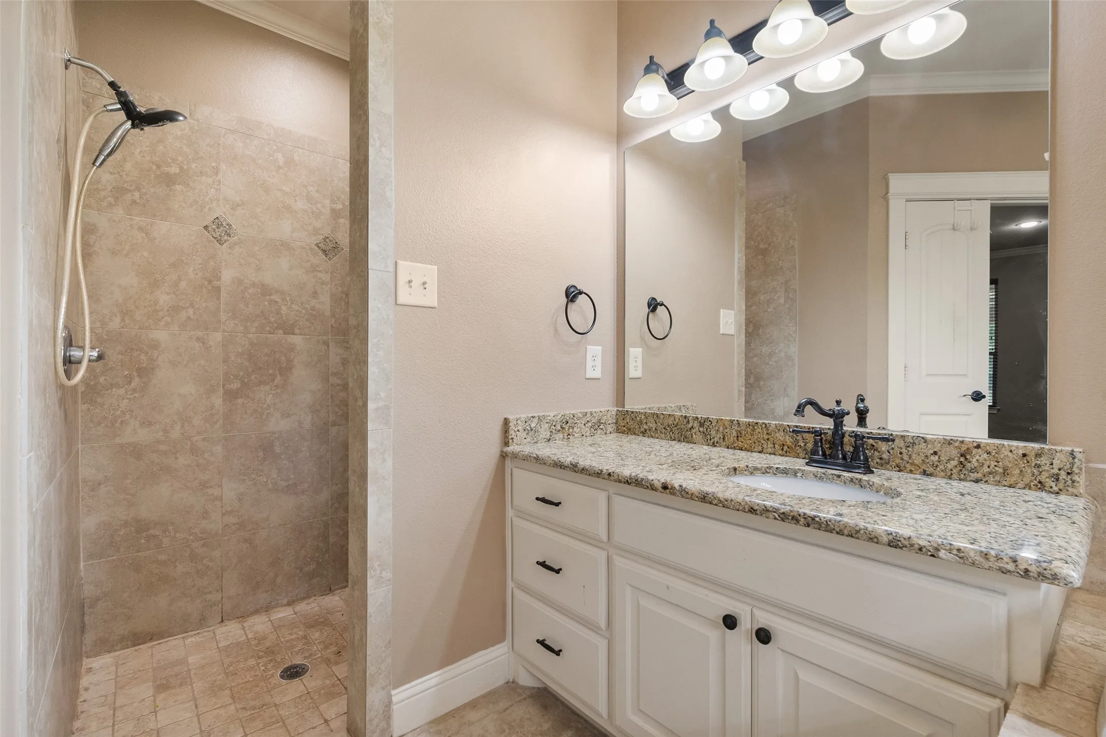 Primary bathroom featuring a walk-in tiled shower, granite vanity, abundant lighting and generous storage.