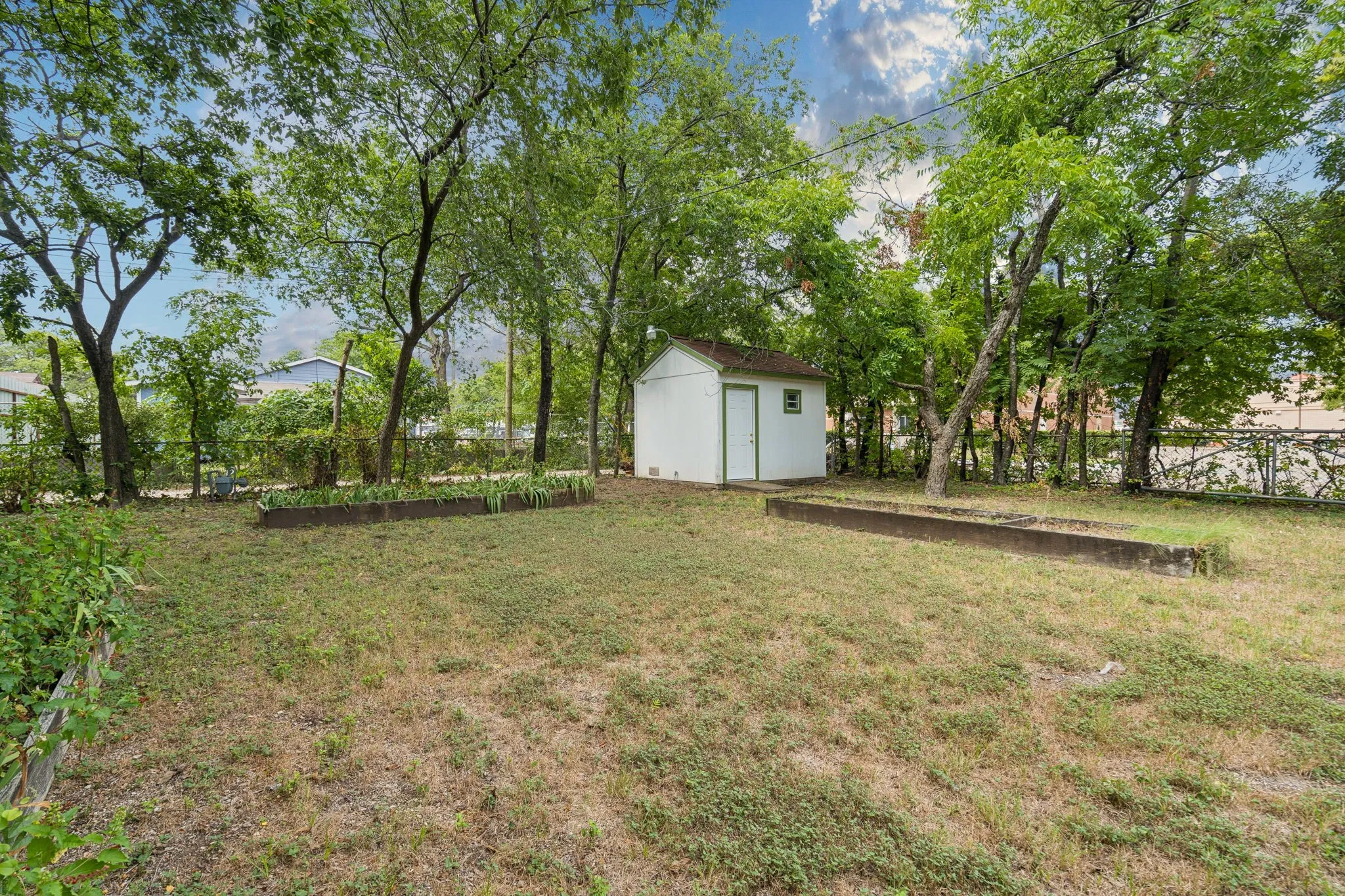 Grassed backyard with mature trees providing natural shading