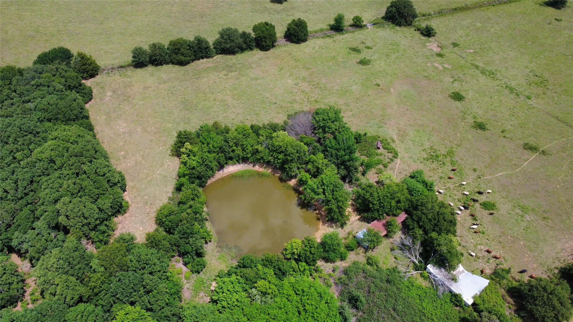 Single Family Residence For Sale in Montague County , 4064 Fm 1759, Nocona, Texas 76255, 2 Bedroom, 2 Bathroom, Garage spaces, 1,668 Sqft, built in 1959, mls#21336603, Real Estate Agent in Nocona, Homes For Sale in Montague county, Homes For Sale in Nocona, Realtor in Nocona Texas, Real Estate Brokerage Independent Realty Texas, Luminita Cordes Realtor