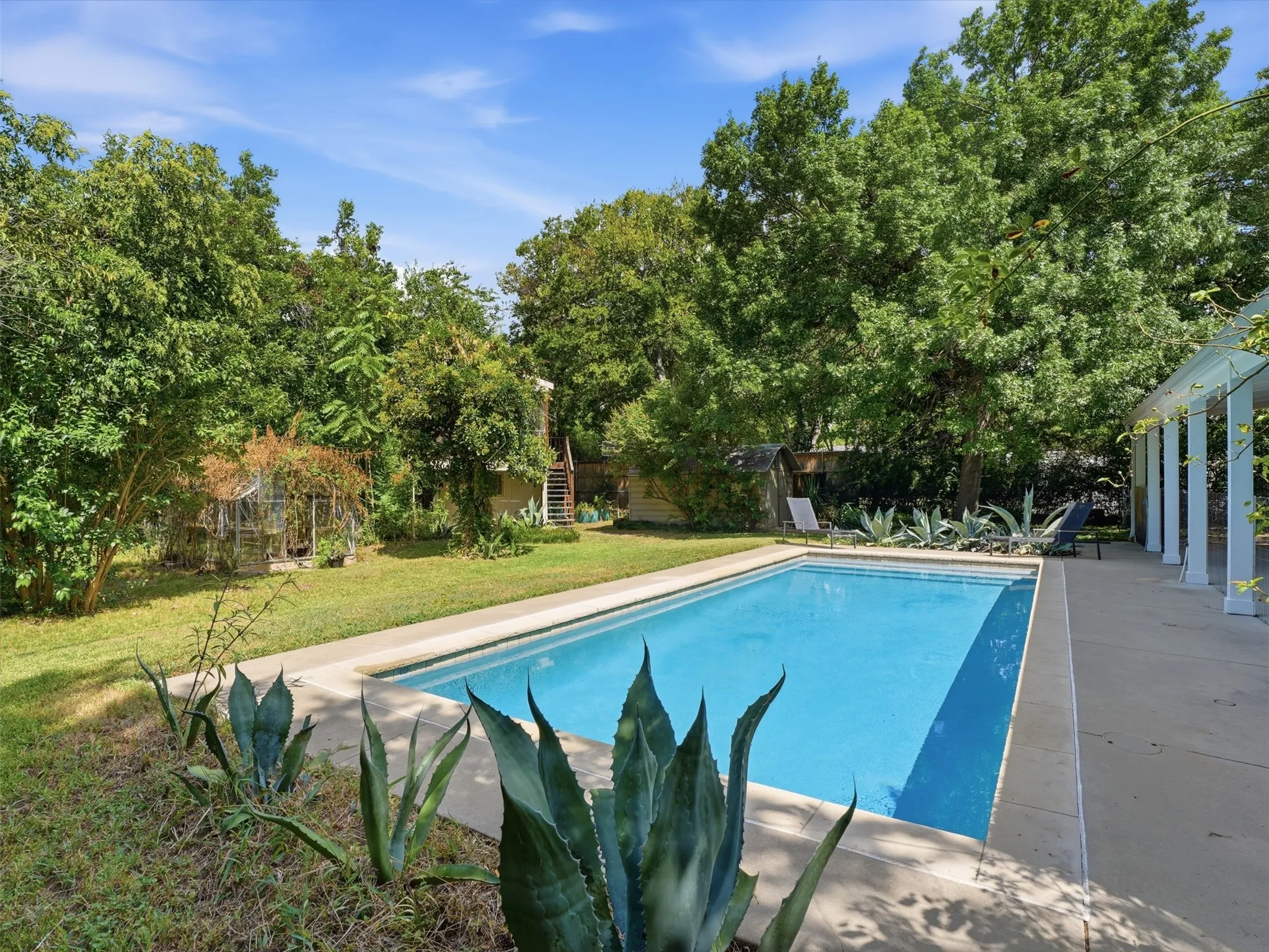 Rectangular swimming pool with a concrete surround, bordered by mature trees and agave plantings