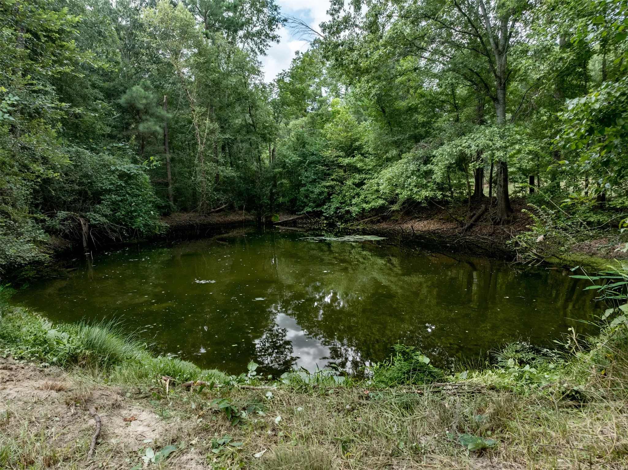 Single Family Residence For Sale in Upshur County , 6841 State Highway 154 E, Gilmer, Texas 75645, 3 Bedrooms, 3 Bathrooms, Garage spaces, 2,276 Sqft, built in 2016, Price $975,000, mls#21336611, Real Estate Agent in Gilmer, Homes For Sale in Upshur county, Homes For Sale in Gilmer, Realtor in Gilmer Texas, Real Estate Brokerage Independent Realty Texas, Luminita Cordes Realtor