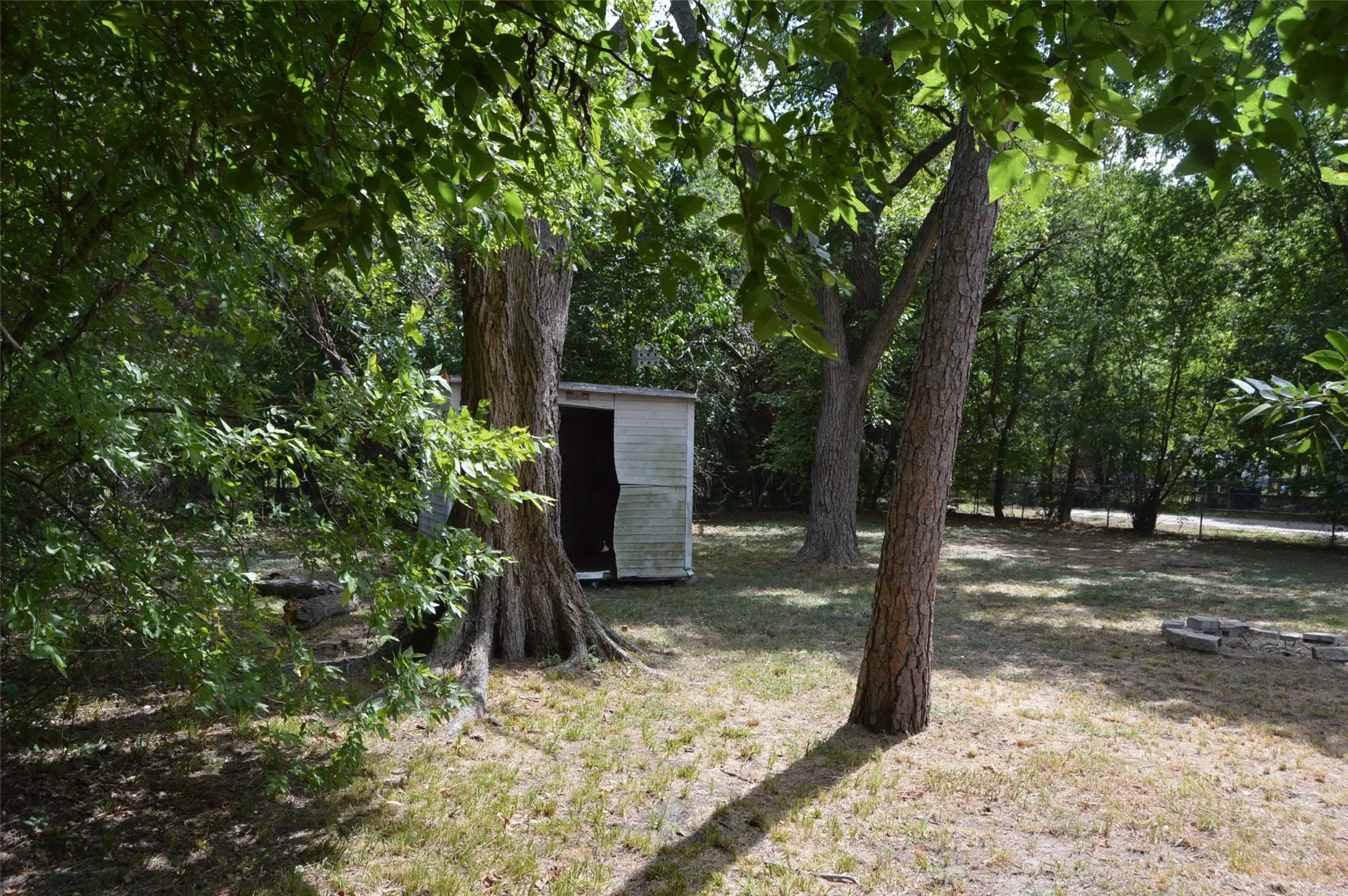 Wooded back yard with storage