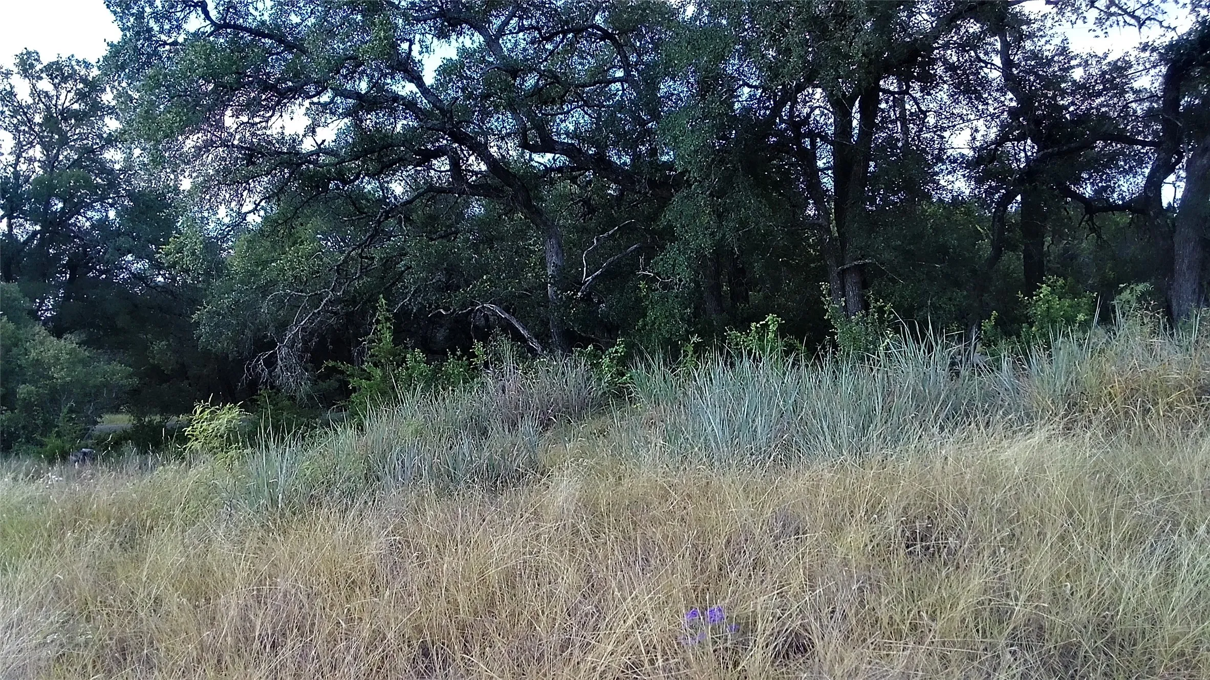 Unimproved Land For Sale in Travis County , 4805 Lookout Ridge Dr, Marble Falls, Texas 78654, 0, 0, Garage spaces, 0 Sqft, built in 0, Price $2,250,000, mls#21330208, Real Estate Agent in Marble Falls, Homes For Sale in Travis county, Homes For Sale in Marble Falls, Realtor in Marble Falls Texas, Real Estate Brokerage Independent Realty Texas, Luminita Cordes Realtor