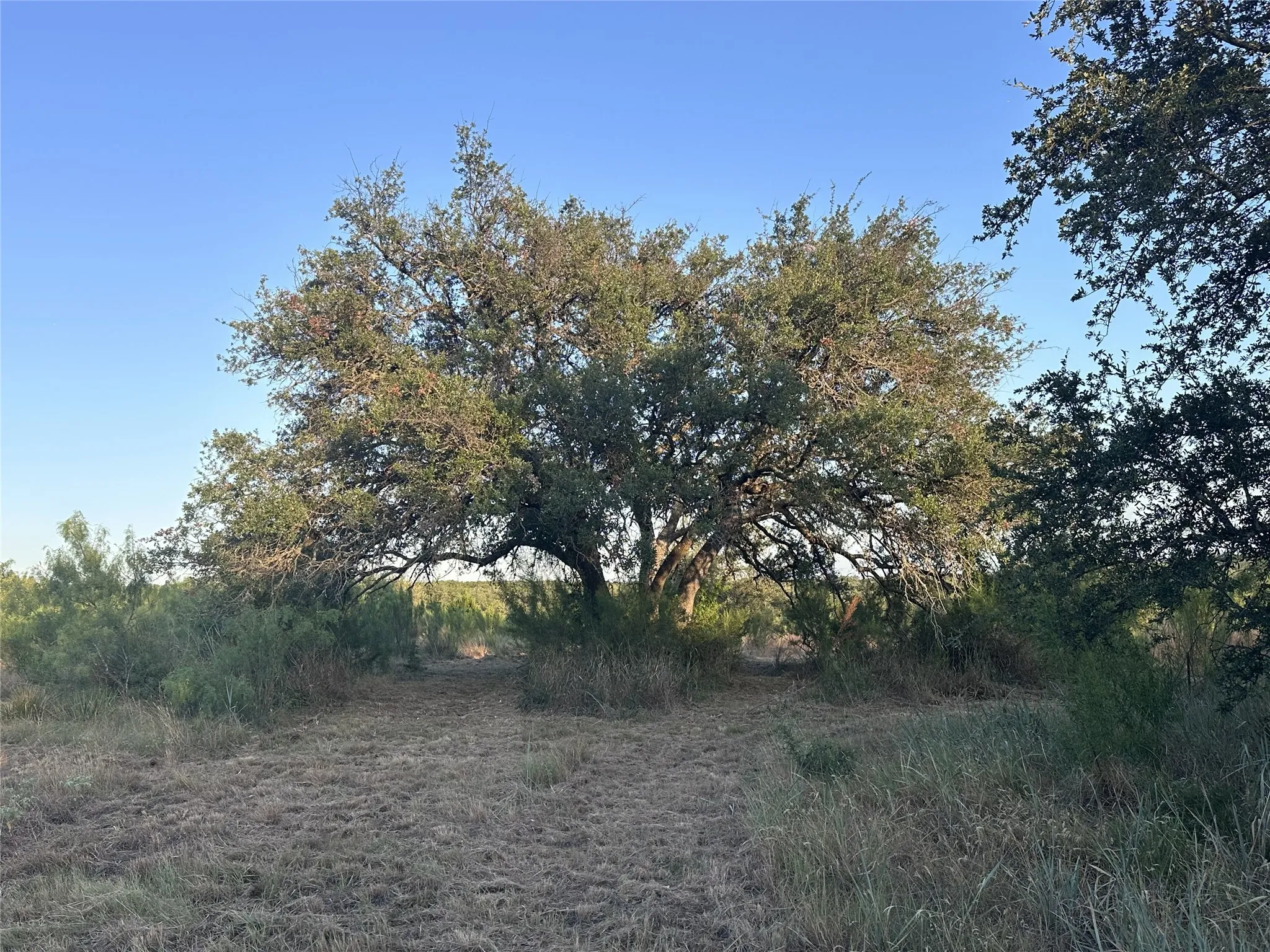 Unimproved Land For Sale in Travis County , 4805 Lookout Ridge Dr, Marble Falls, Texas 78654, 0, 0, Garage spaces, 0 Sqft, built in 0, Price $2,250,000, mls#21330208, Real Estate Agent in Marble Falls, Homes For Sale in Travis county, Homes For Sale in Marble Falls, Realtor in Marble Falls Texas, Real Estate Brokerage Independent Realty Texas, Luminita Cordes Realtor