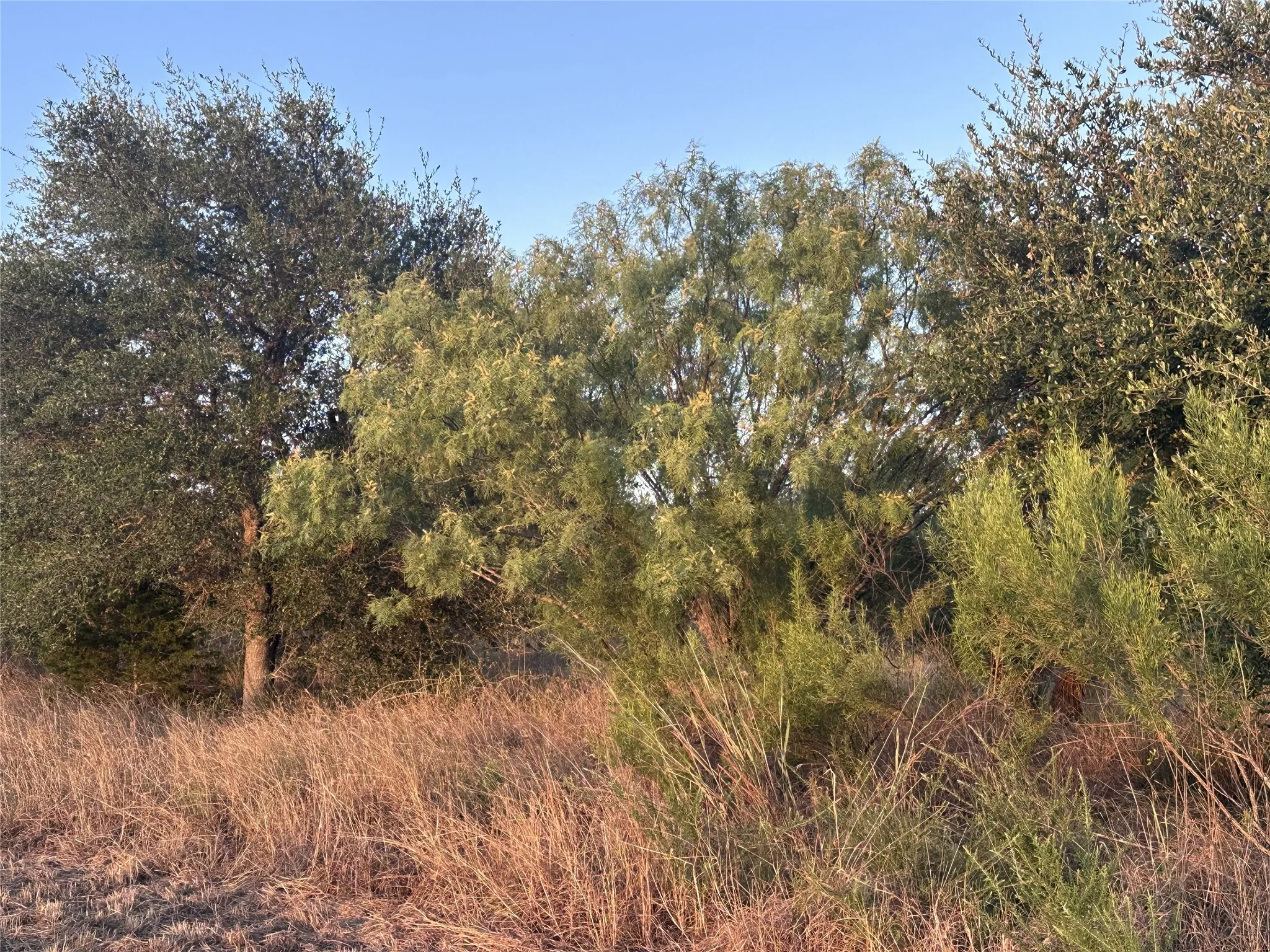 Unimproved Land For Sale in Travis County , 4805 Lookout Ridge Dr, Marble Falls, Texas 78654, 0, 0, Garage spaces, 0 Sqft, built in 0, Price $2,250,000, mls#21330208, Real Estate Agent in Marble Falls, Homes For Sale in Travis county, Homes For Sale in Marble Falls, Realtor in Marble Falls Texas, Real Estate Brokerage Independent Realty Texas, Luminita Cordes Realtor