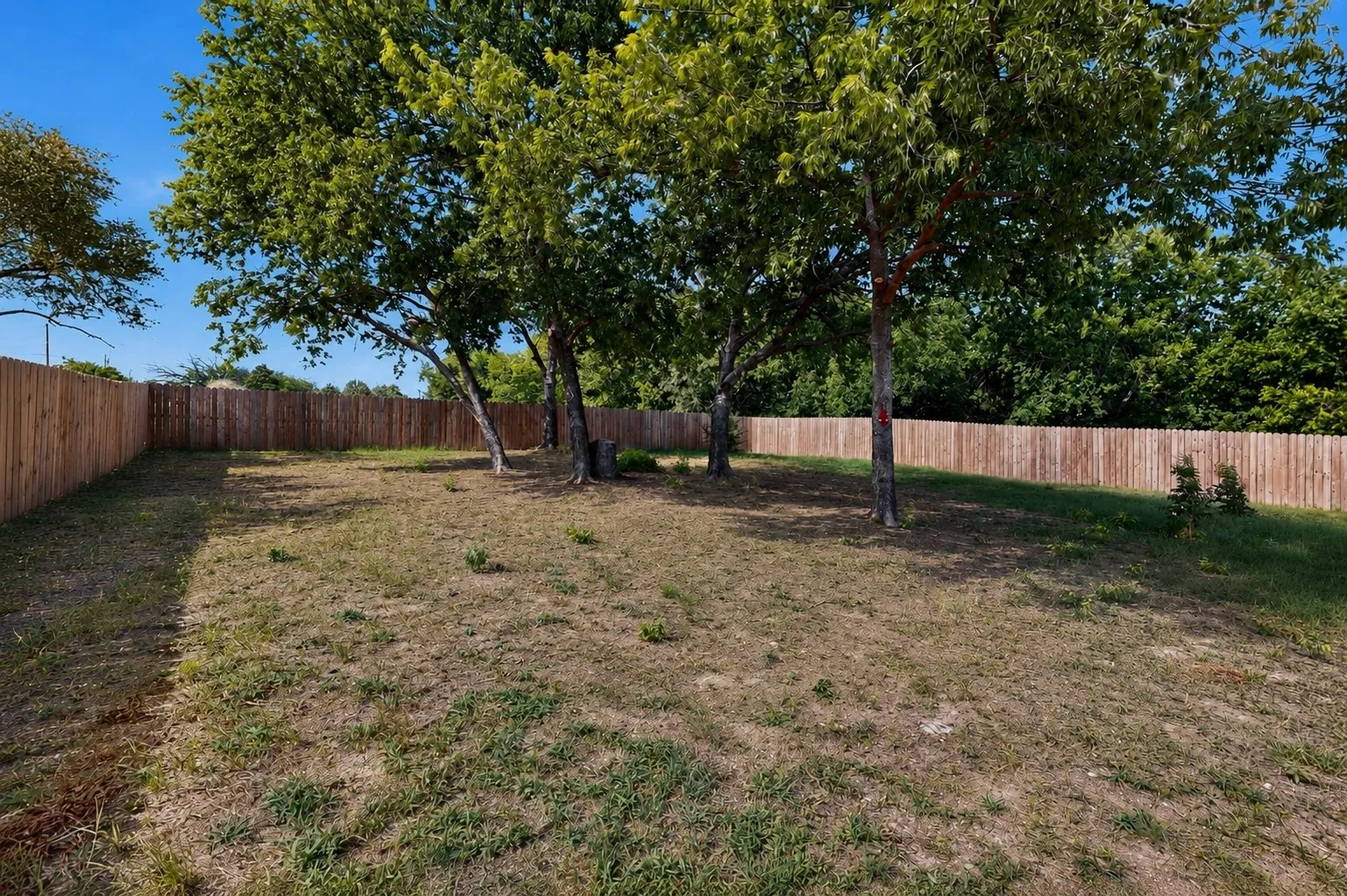 Garden?  There's no HOA.  Check the City zoning before adding farm animals.