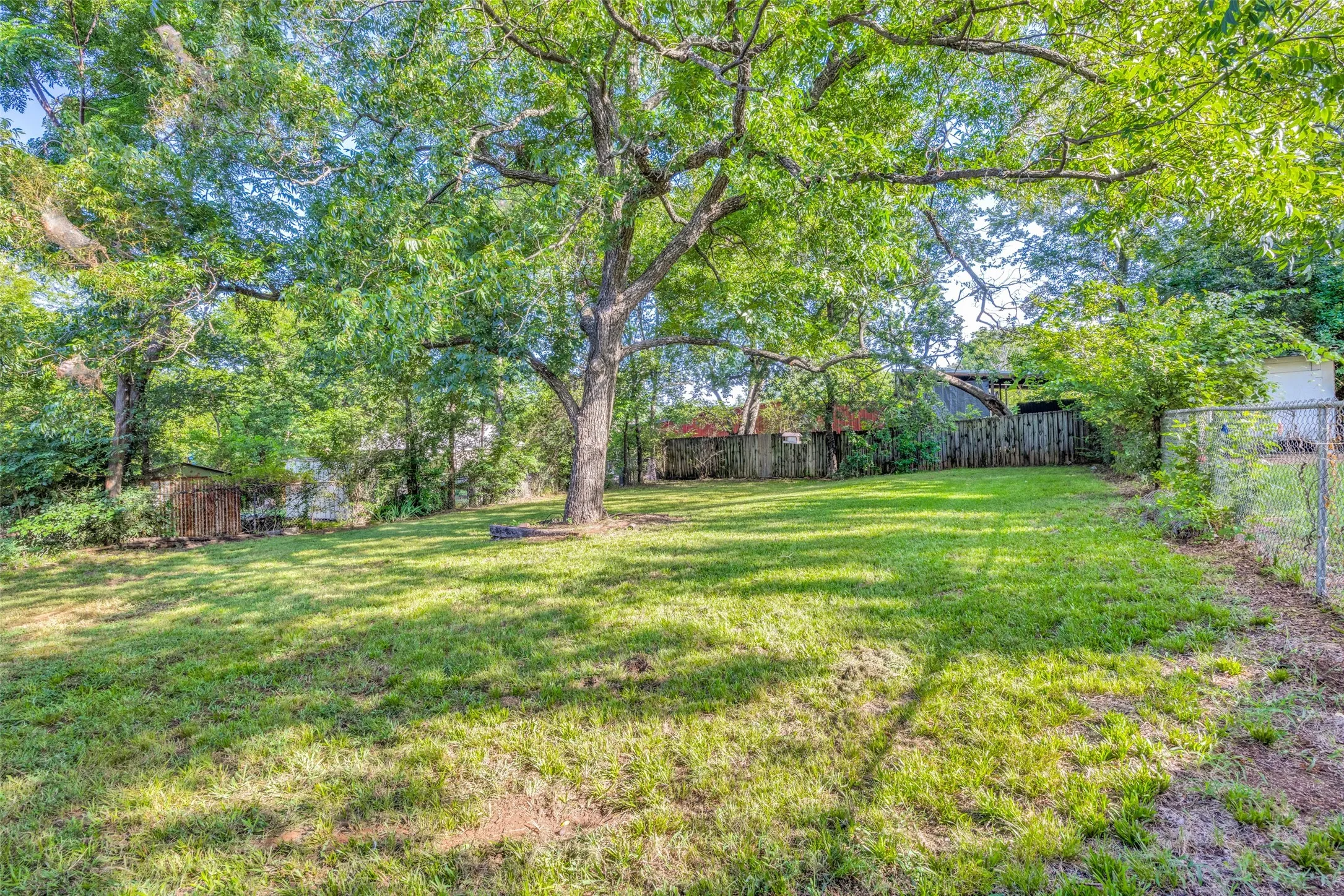 Expansive green lawn framed by mature trees, a wooden privacy fence, and a chain-link fence
