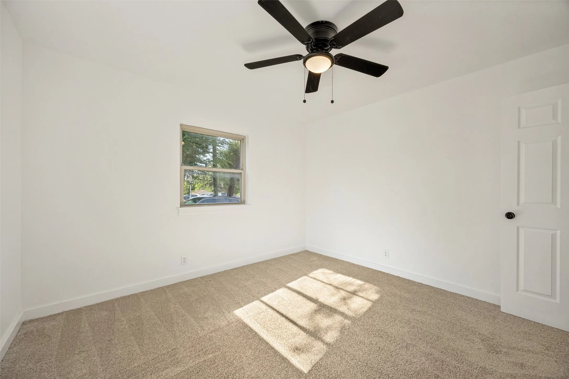 Carpeted room featuring a ceiling fan with integrated lighting, a paneled door with a round black knob, and a window providing natural illumination