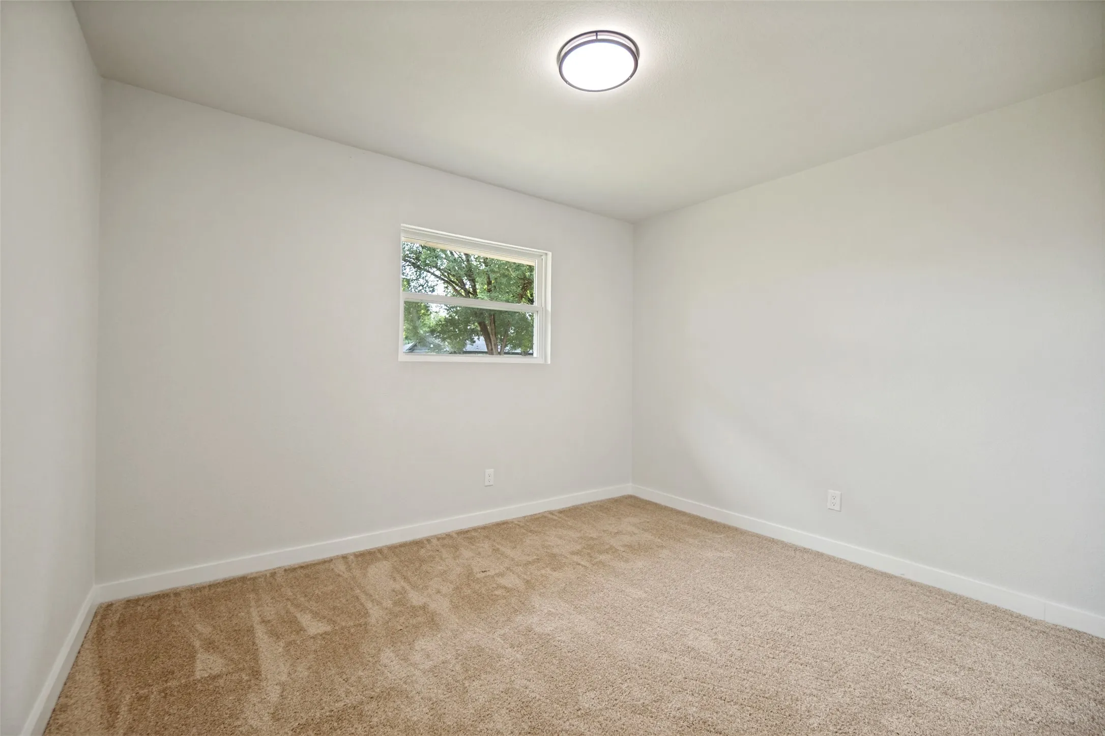 Bright room featuring neutral-toned carpet, a double-hung window, and a flush-mount ceiling light fixture