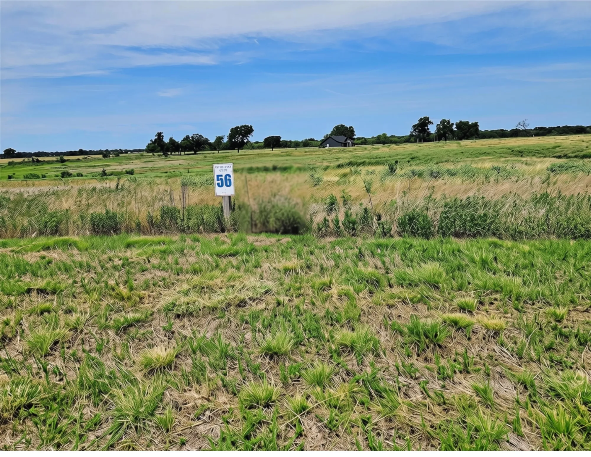 Unimproved Land For Sale in Navarro County , Lot 56 Kayak Cove, Corsicana, Texas 75109, 0, 0, Garage spaces, 0 Sqft, built in 0, mls#21327799, Real Estate Agent in Corsicana, Homes For Sale in Navarro county, Homes For Sale in Corsicana, Realtor in Corsicana Texas, Real Estate Brokerage Independent Realty Texas, Luminita Cordes Realtor