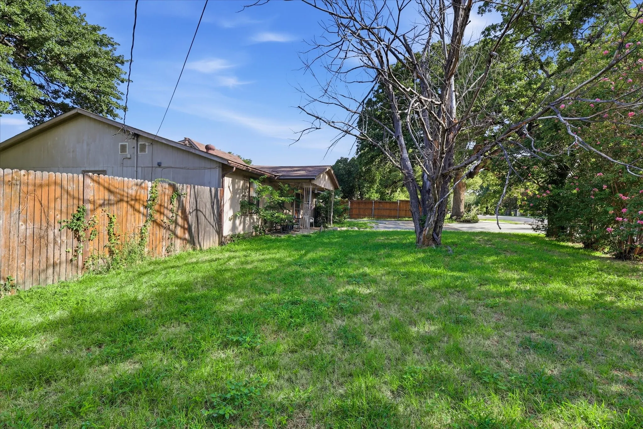Grassy yard area featuring a wooden privacy fence and mature trees