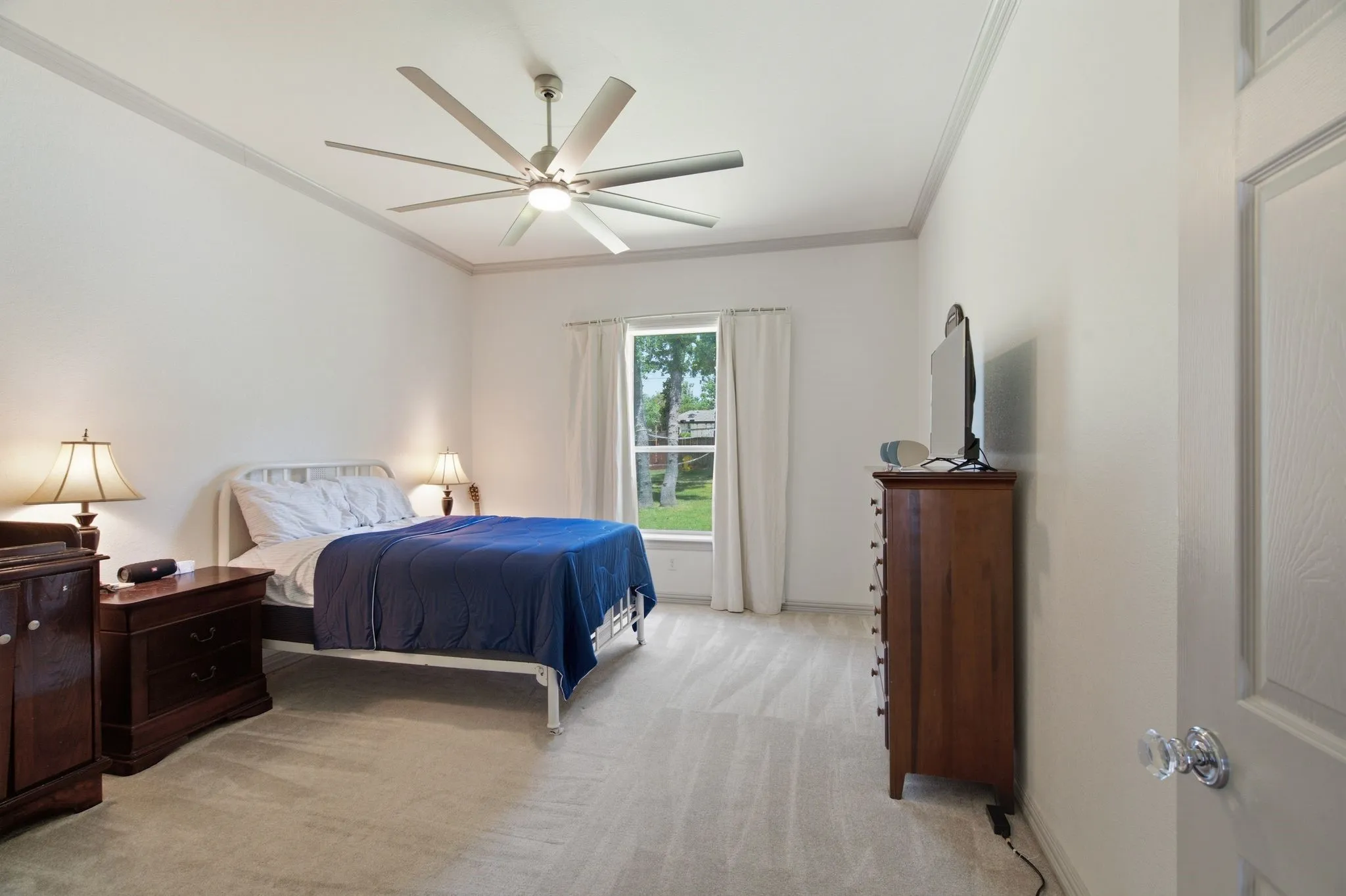 Carpeted room featuring a ceiling fan with integrated lighting, a window with white curtains, and crown molding