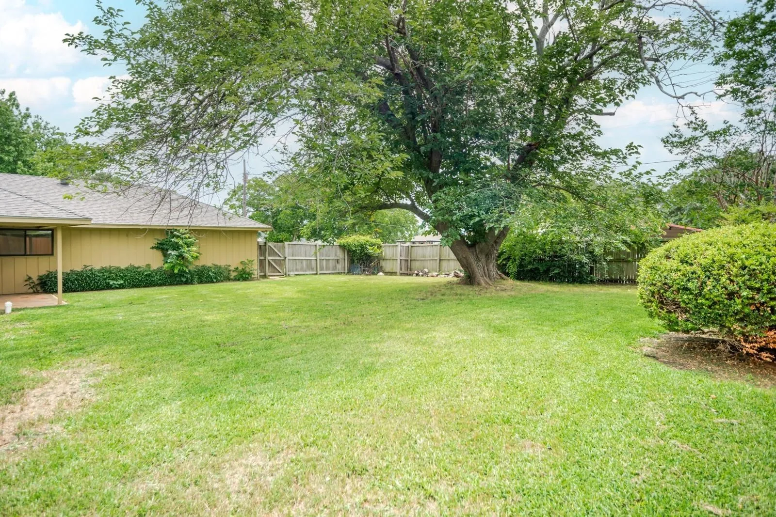Expansive lawn featuring a mature shade tree and established shrubbery