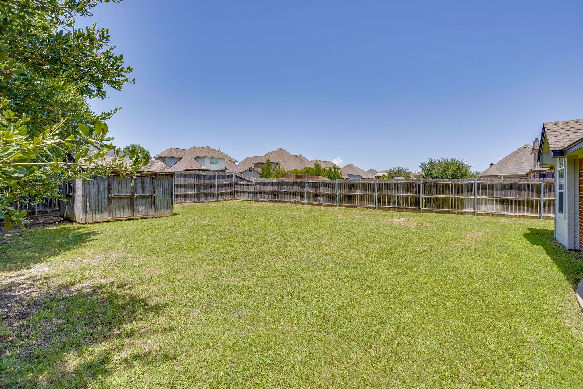 Back yard
