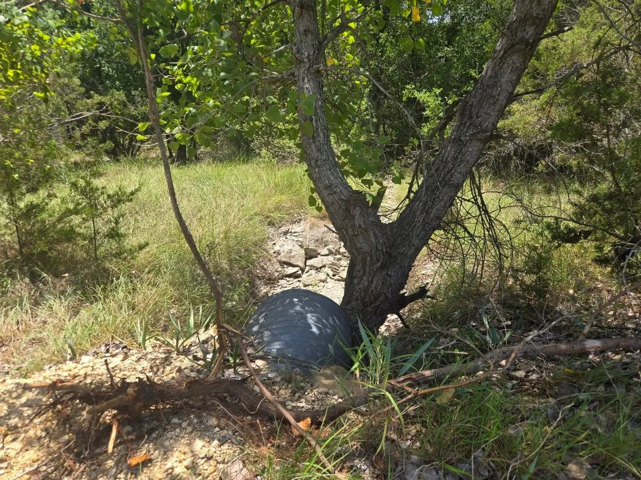 Unimproved Land For Sale in Erath County , TBD Lighthouse Drive, Bluff Dale, Texas 76433, 0, 0, Garage spaces, 0 Sqft, built in 0, mls#21336630, Real Estate Agent in Bluff Dale, Homes For Sale in Erath county, Homes For Sale in Bluff Dale, Realtor in Bluff Dale Texas, Real Estate Brokerage Independent Realty Texas, Luminita Cordes Realtor