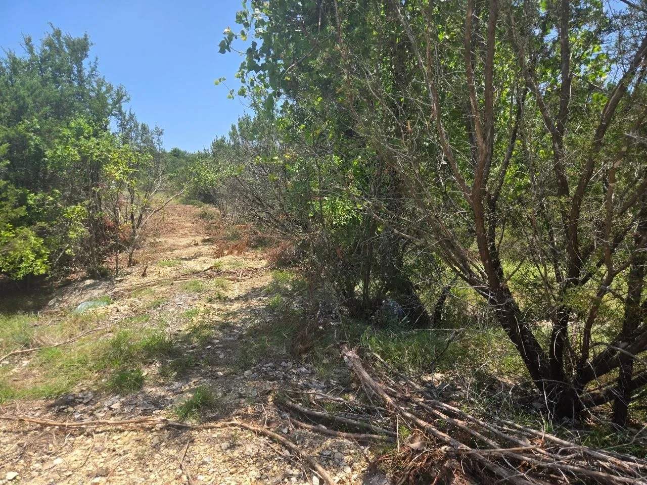 Unimproved Land For Sale in Erath County , TBD Lighthouse Drive, Bluff Dale, Texas 76433, 0, 0, Garage spaces, 0 Sqft, built in 0, mls#21336630, Real Estate Agent in Bluff Dale, Homes For Sale in Erath county, Homes For Sale in Bluff Dale, Realtor in Bluff Dale Texas, Real Estate Brokerage Independent Realty Texas, Luminita Cordes Realtor
