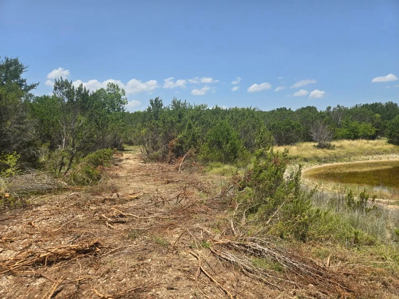 Unimproved Land For Sale in Erath County , TBD Lighthouse Drive, Bluff Dale, Texas 76433, 0, 0, Garage spaces, 0 Sqft, built in 0, mls#21336630, Real Estate Agent in Bluff Dale, Homes For Sale in Erath county, Homes For Sale in Bluff Dale, Realtor in Bluff Dale Texas, Real Estate Brokerage Independent Realty Texas, Luminita Cordes Realtor