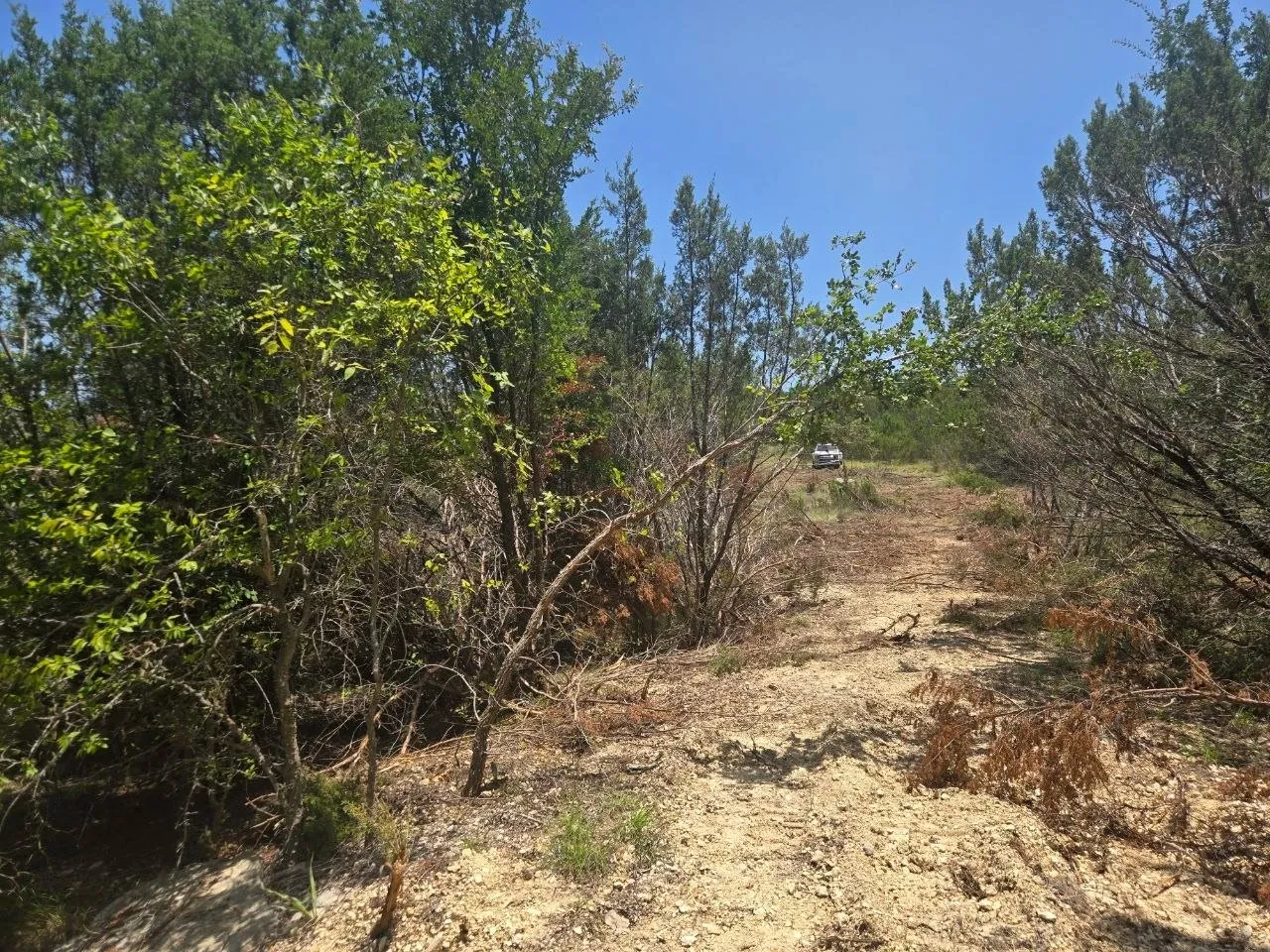 Unimproved Land For Sale in Erath County , TBD Lighthouse Drive, Bluff Dale, Texas 76433, 0, 0, Garage spaces, 0 Sqft, built in 0, mls#21336630, Real Estate Agent in Bluff Dale, Homes For Sale in Erath county, Homes For Sale in Bluff Dale, Realtor in Bluff Dale Texas, Real Estate Brokerage Independent Realty Texas, Luminita Cordes Realtor